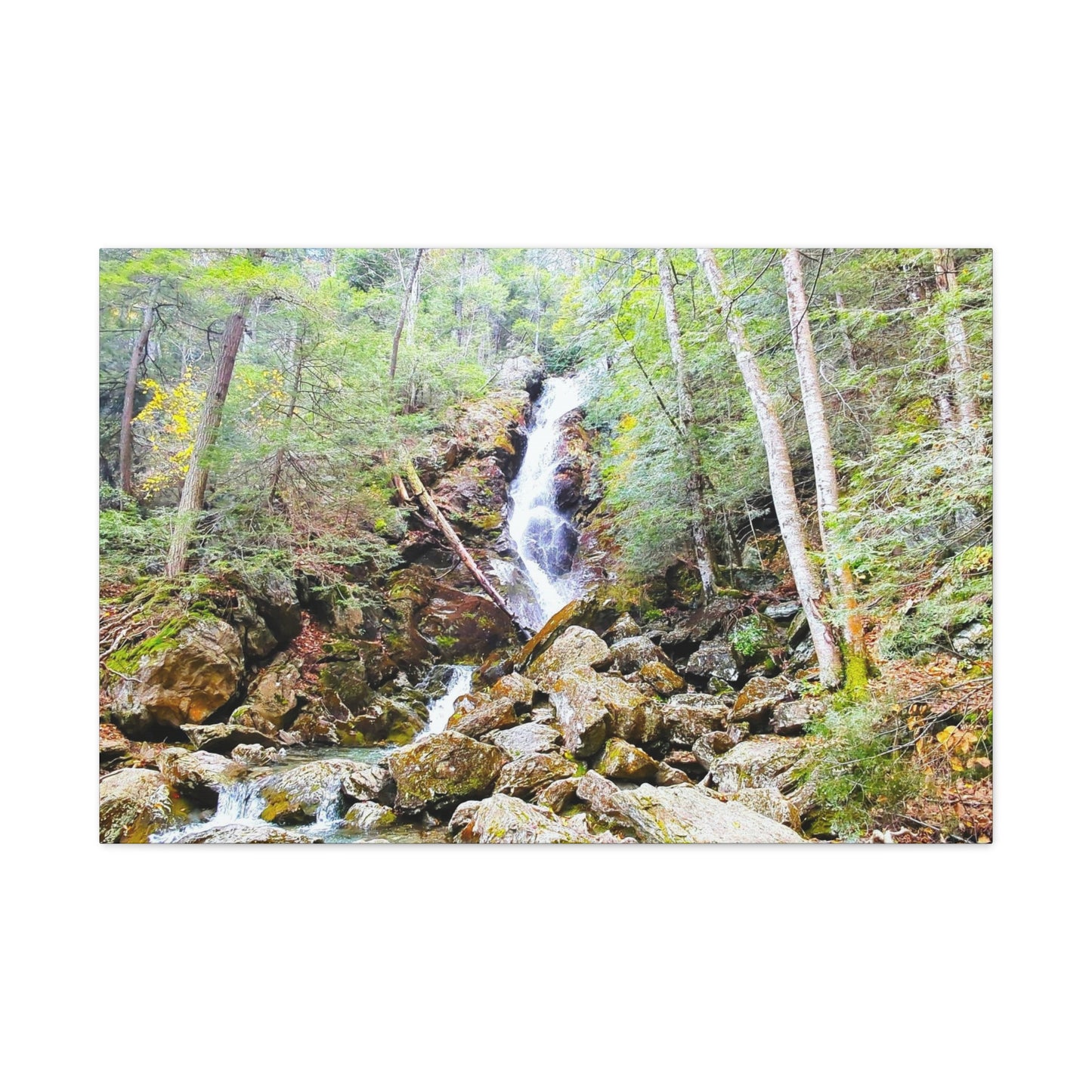 Race Brook Falls Canvas Art Print