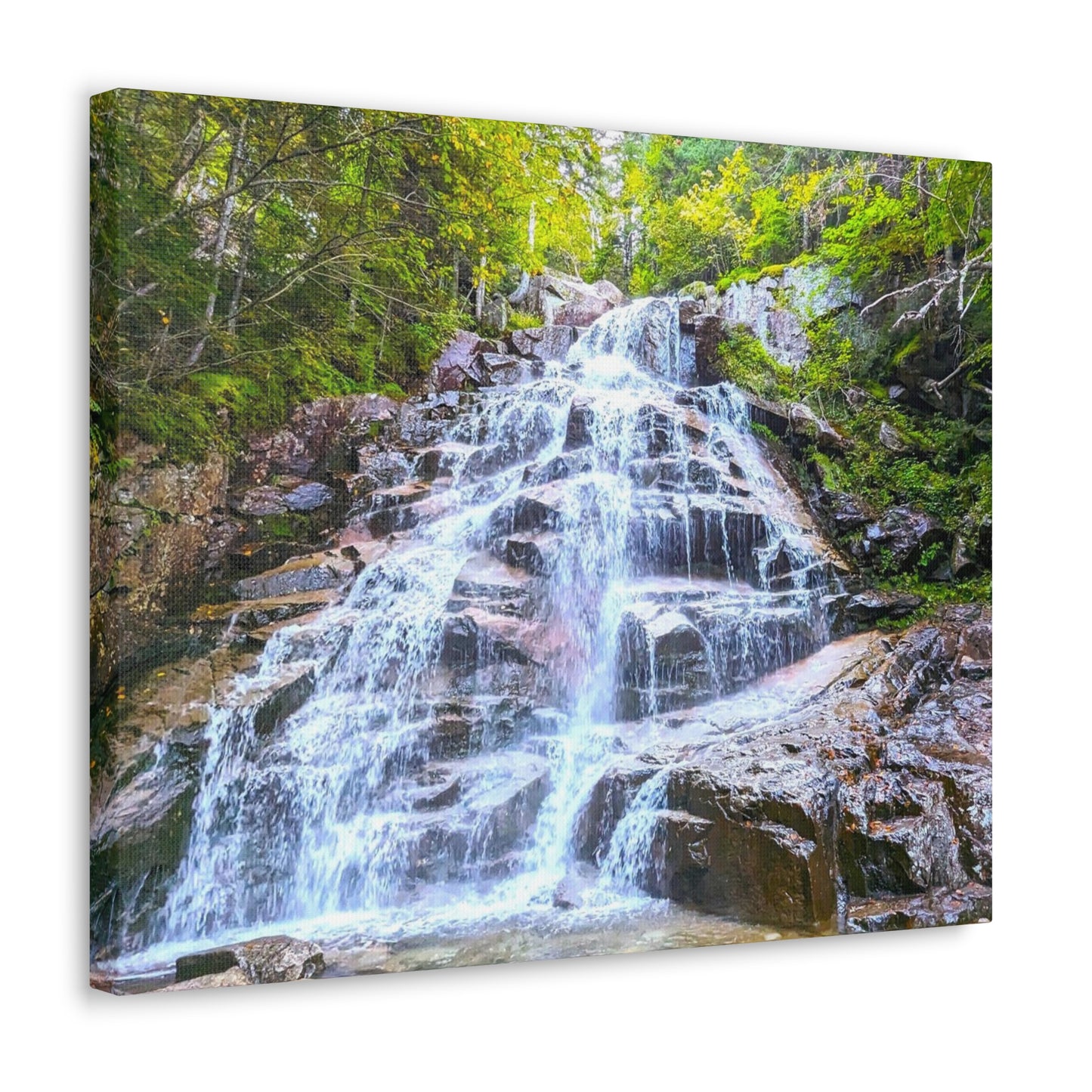 Cloudland Falls Canvas Art Print