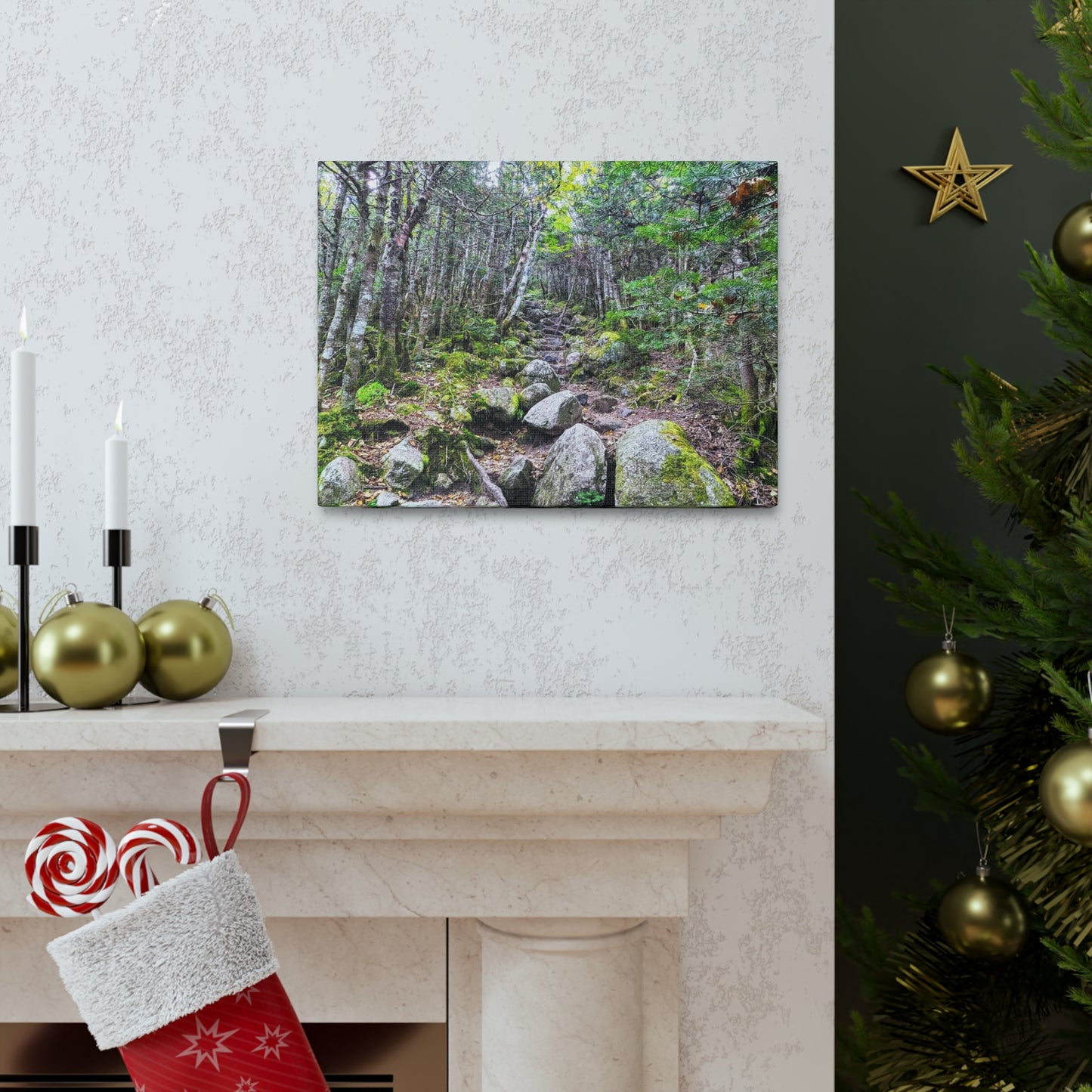 Kinsman Ridge Trail Canvas Art Print
