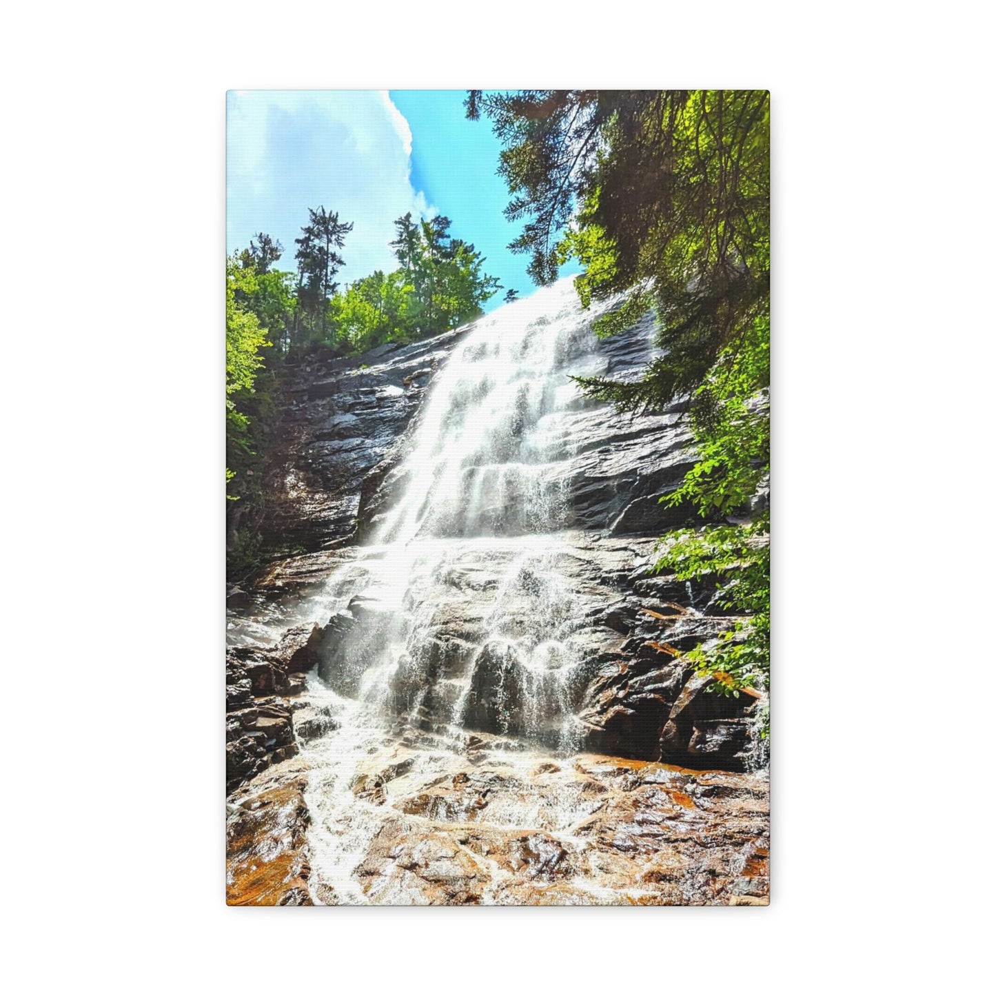 Arethusa Falls Canvas Art Print