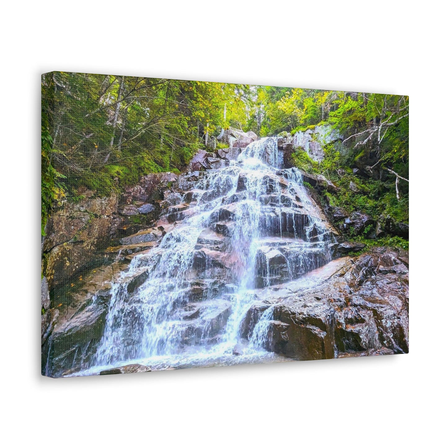 Cloudland Falls Canvas Art Print