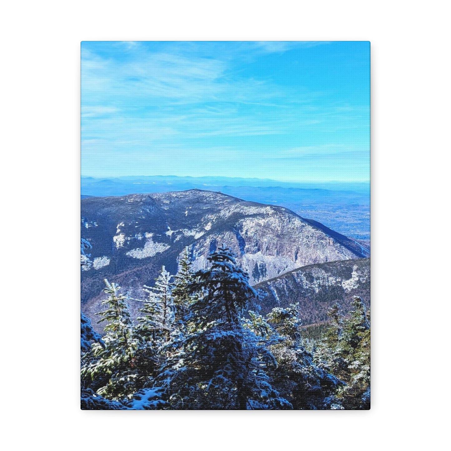 Alpine Zone- Canvas Art Print