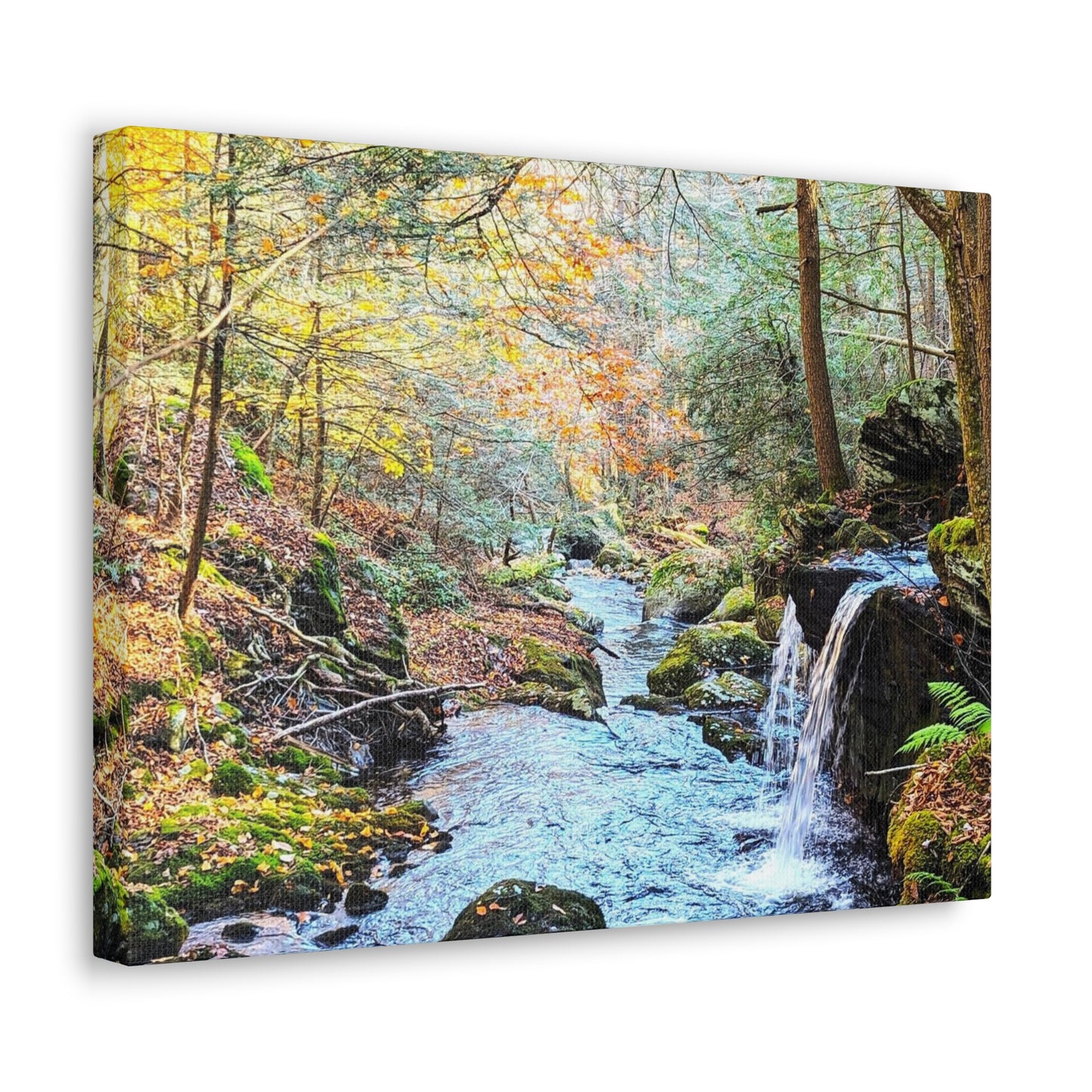 Canvas Artwork Print, Nature Photography