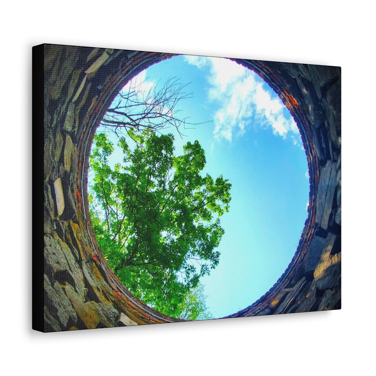 A Perfect Circle- Canvas Art Print