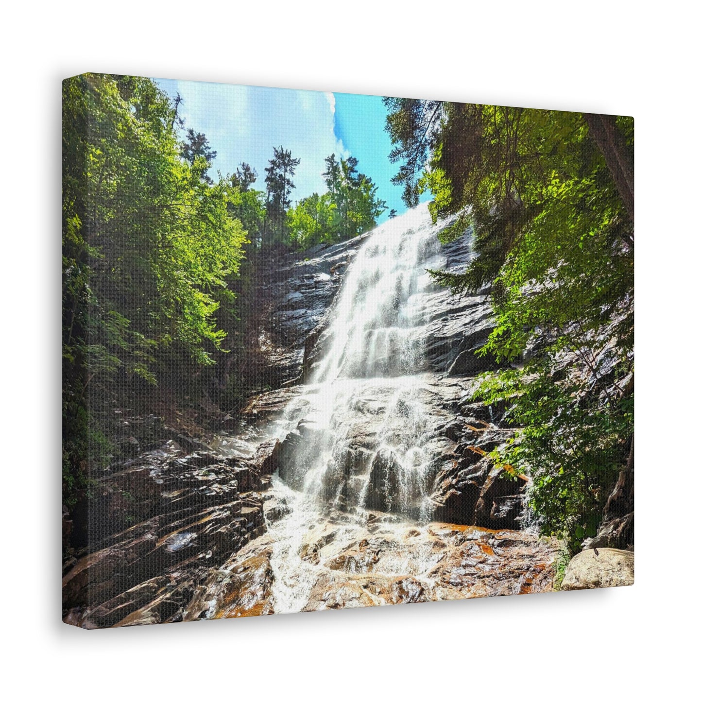 Canvas Artwork Print, Nature Photography