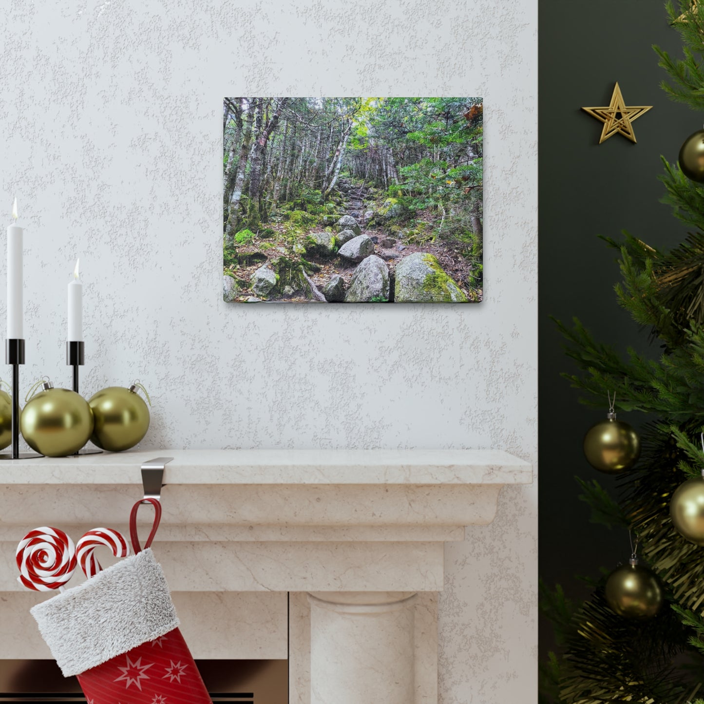Kinsman Ridge Trail Canvas Art Print