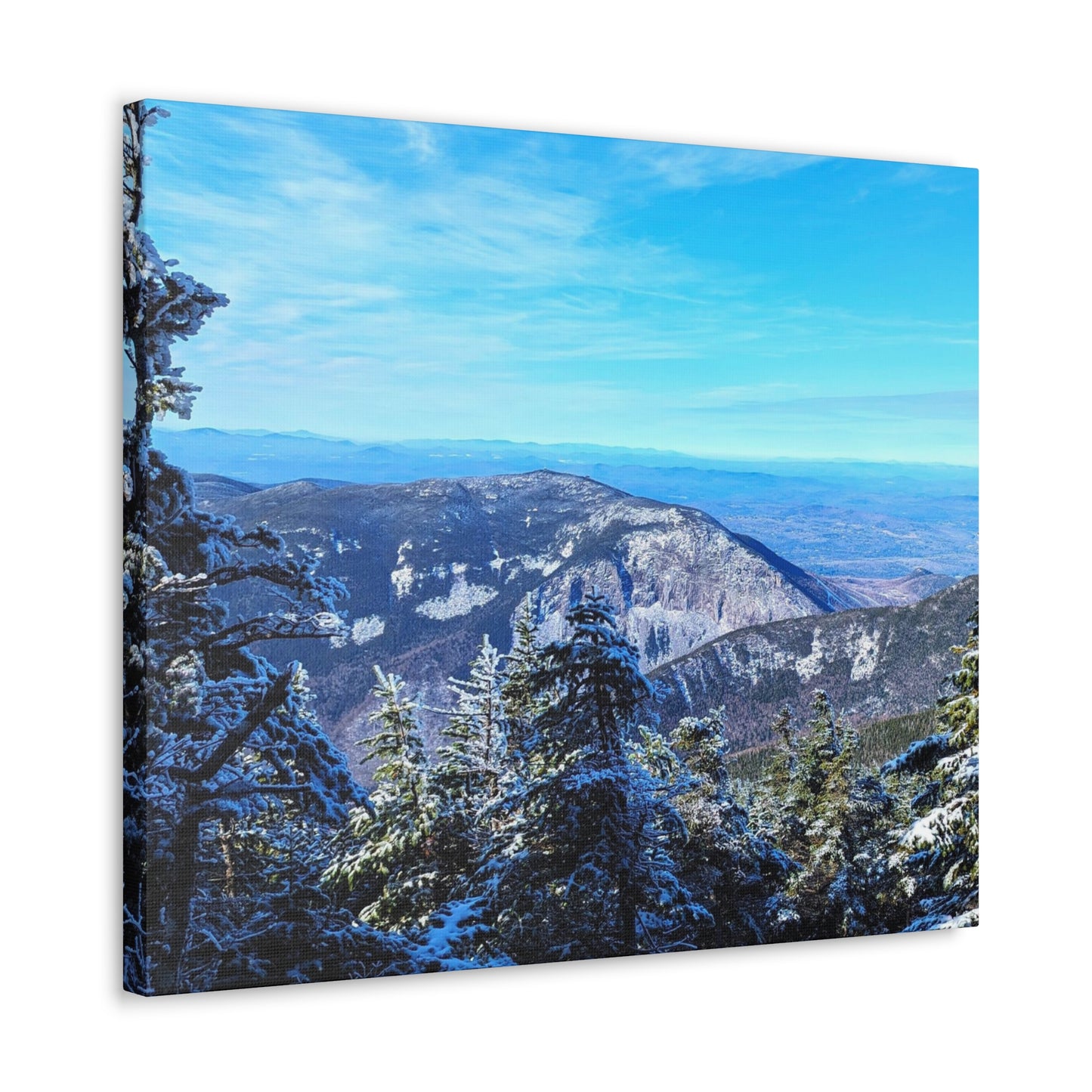 Alpine Zone- Canvas Art Print