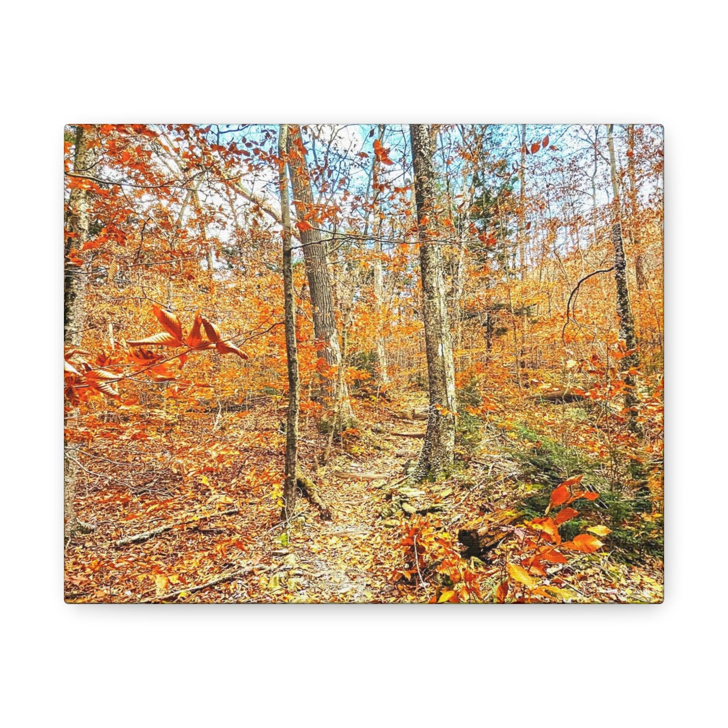 Appalachian Trail Fall Canvas Art Print