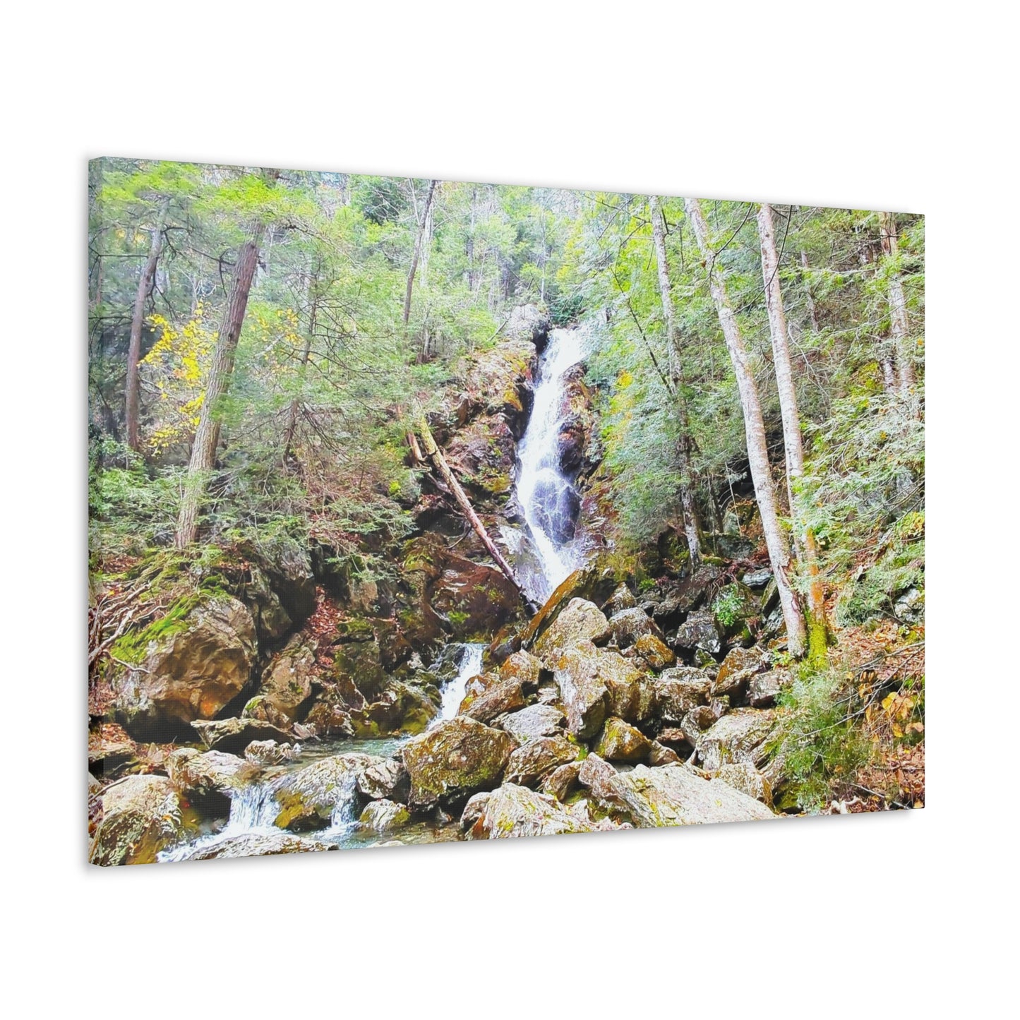 Race Brook Falls Canvas Art Print