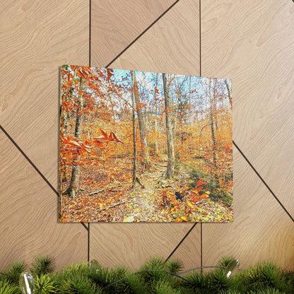 Appalachian Trail Fall Canvas Art Print