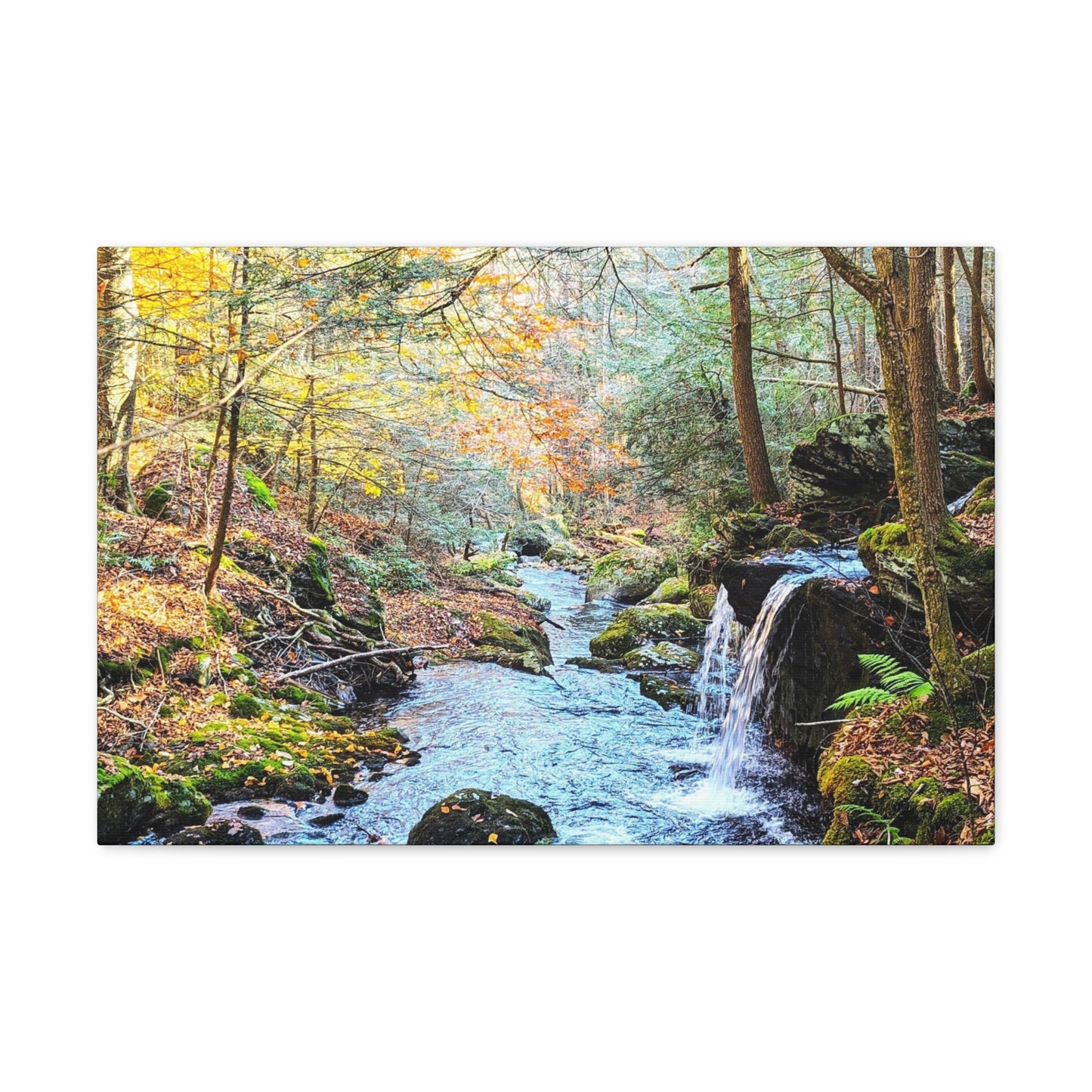 Sage's Ravine Canvas Art Print