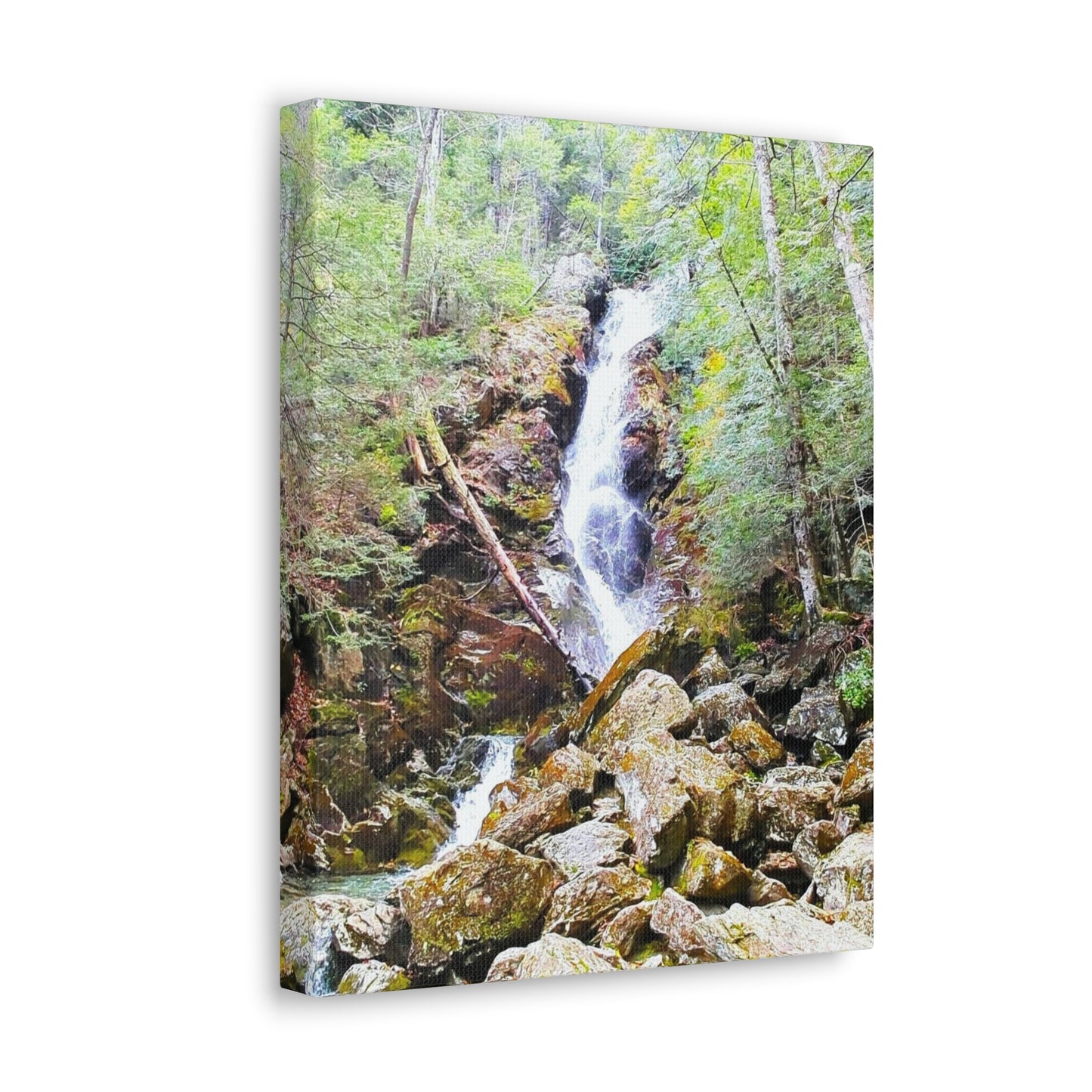 Race Brook Falls Canvas Art Print