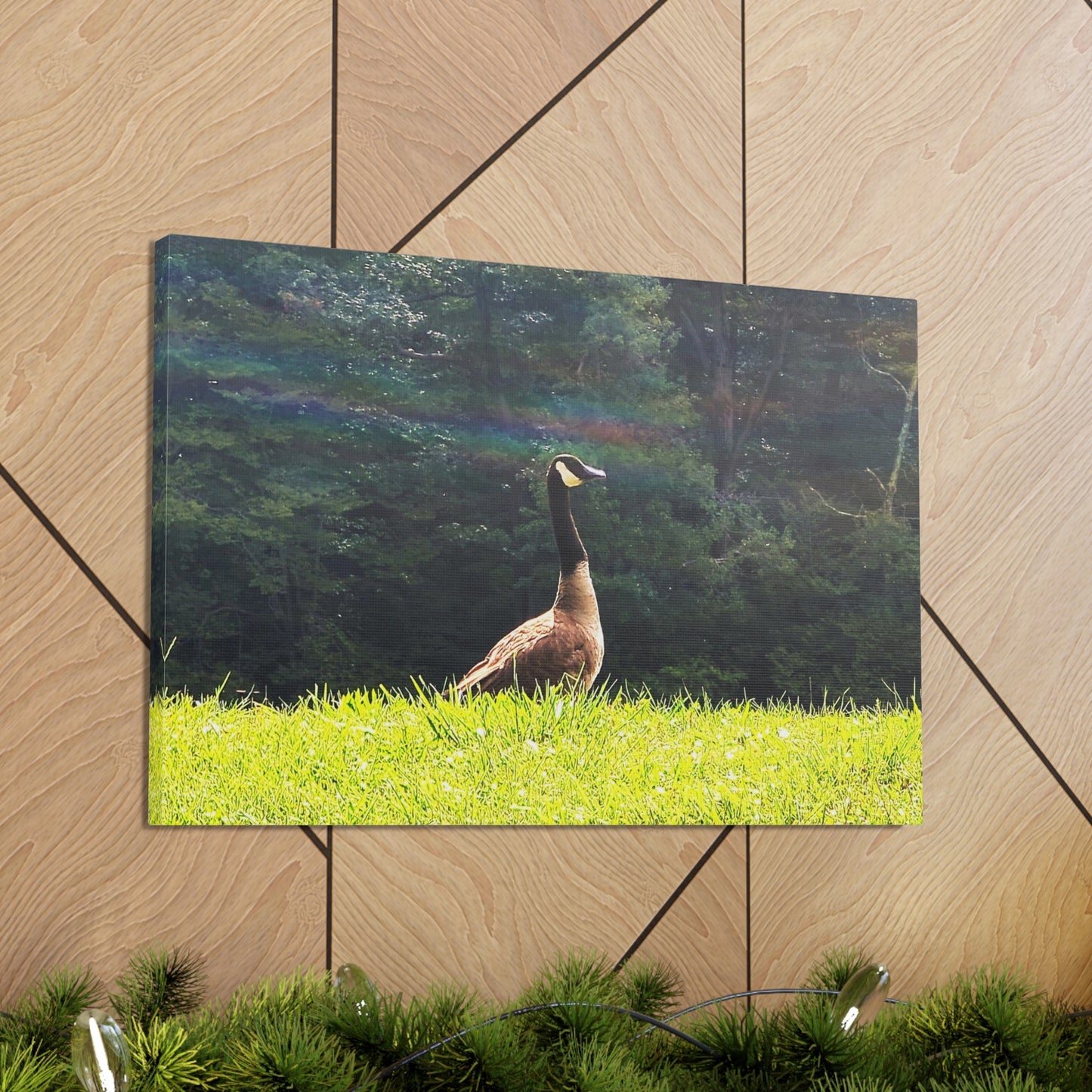 Canadian Goose Canvas Art Print