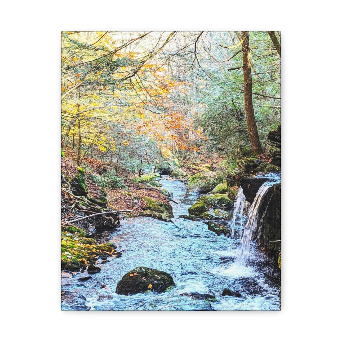 Sage's Ravine Canvas Art Print