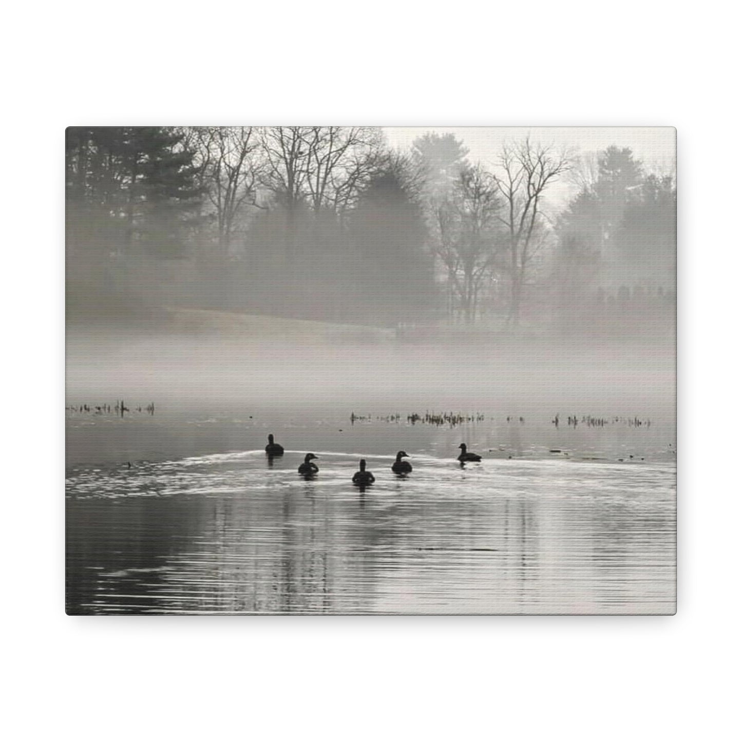 Lake Wintergreen Ducks Canvas Art Print