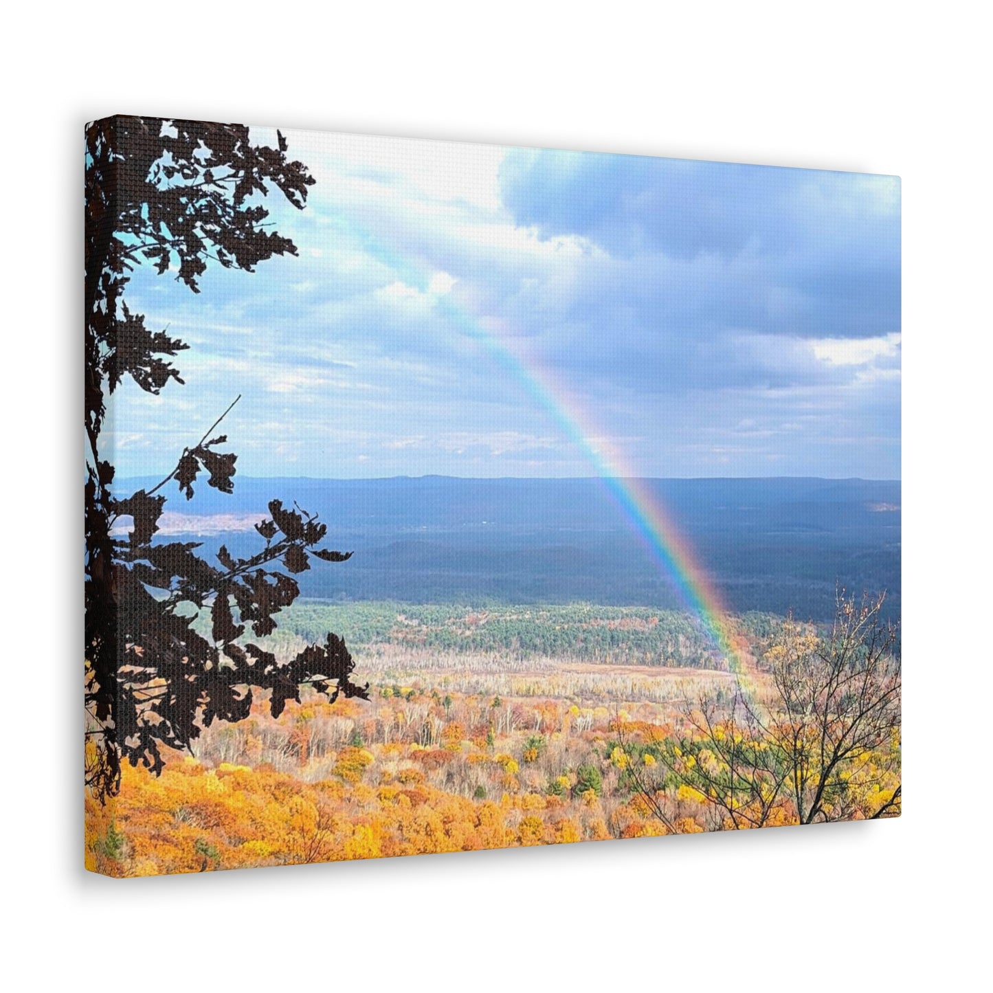 Canvas Artwork Print, Nature Photography