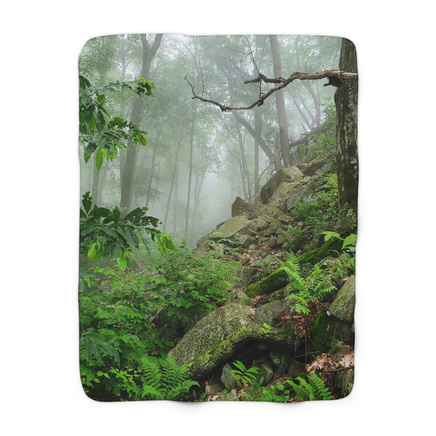 Connecticut Jungle Sherpa Fleece Blanket