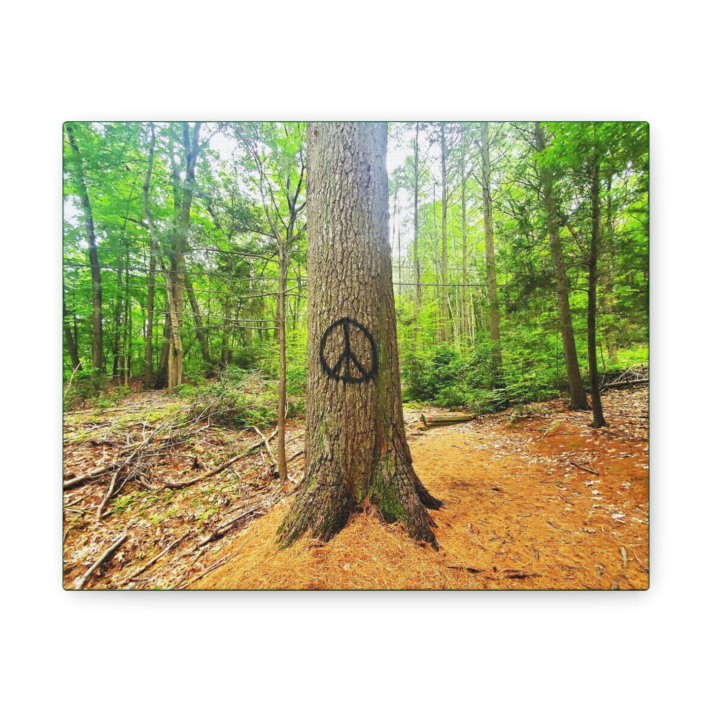 Peace Tree Canvas Art Print