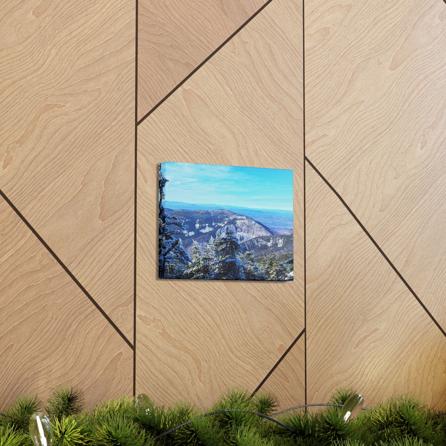 Alpine Zone- Canvas Art Print