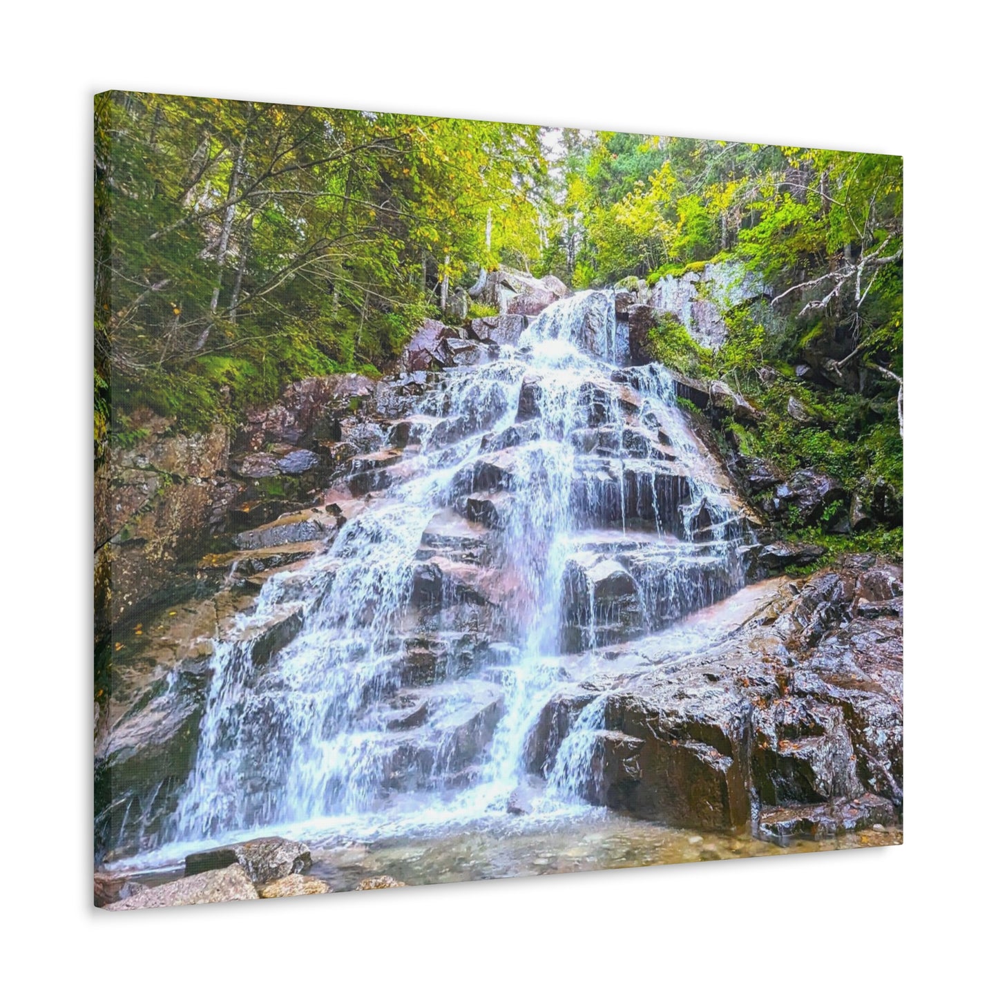 Cloudland Falls Canvas Art Print