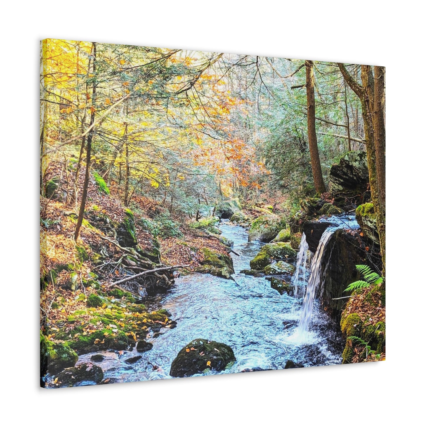 Sage's Ravine Canvas Art Print