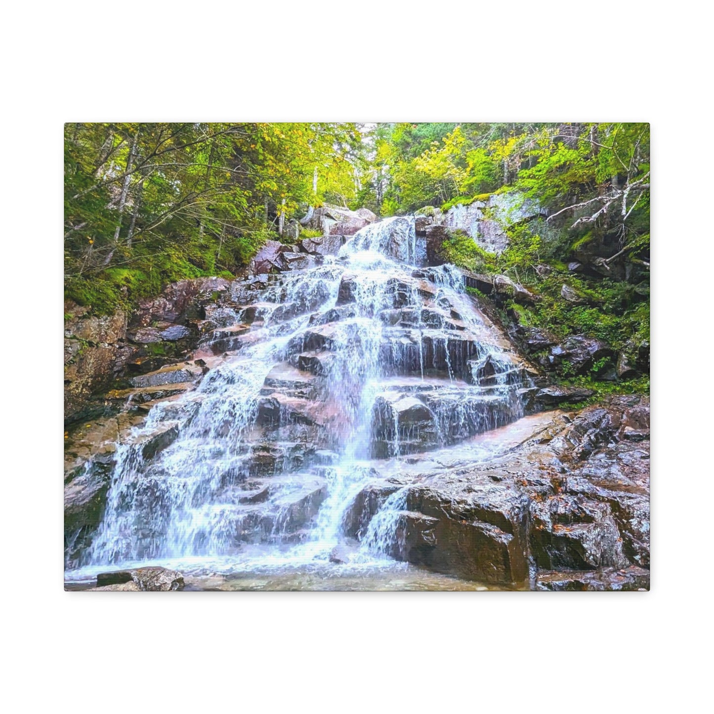 Cloudland Falls Canvas Art Print