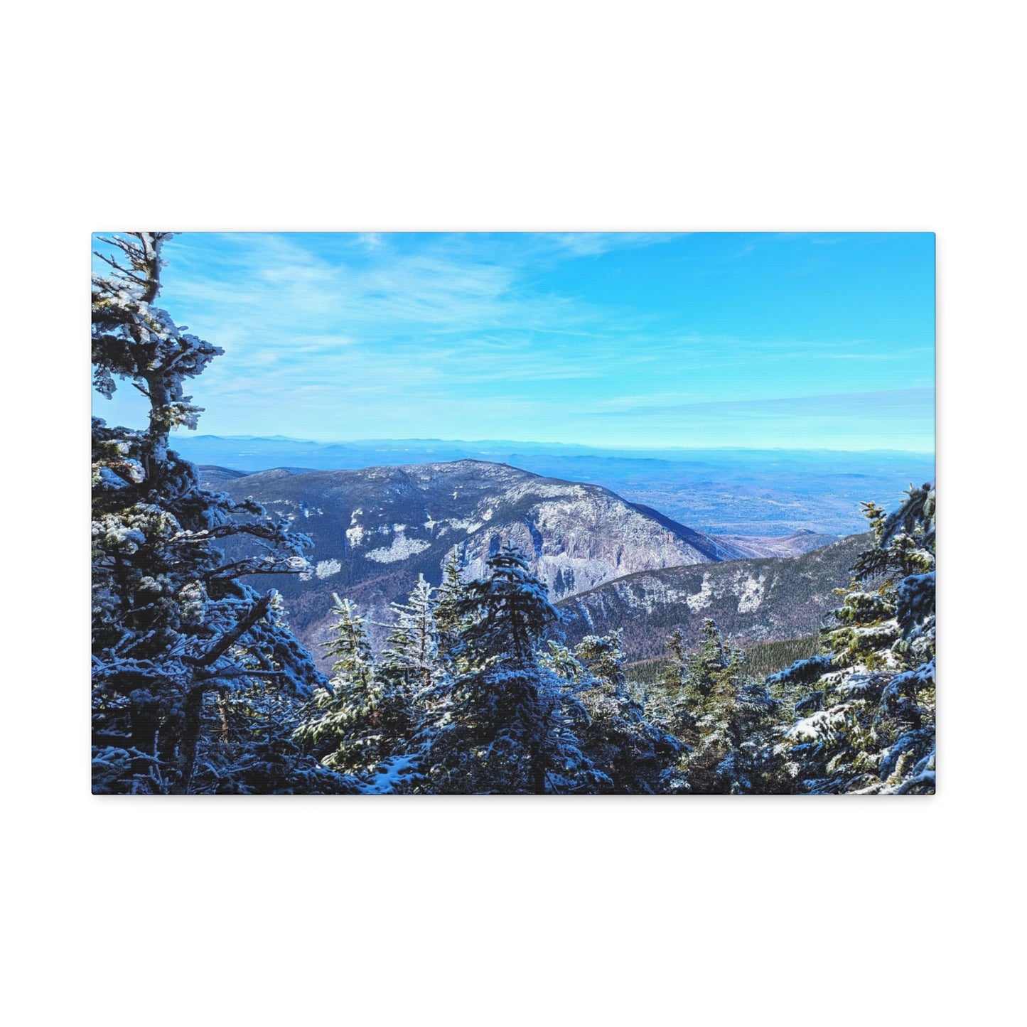 Alpine Zone- Canvas Art Print