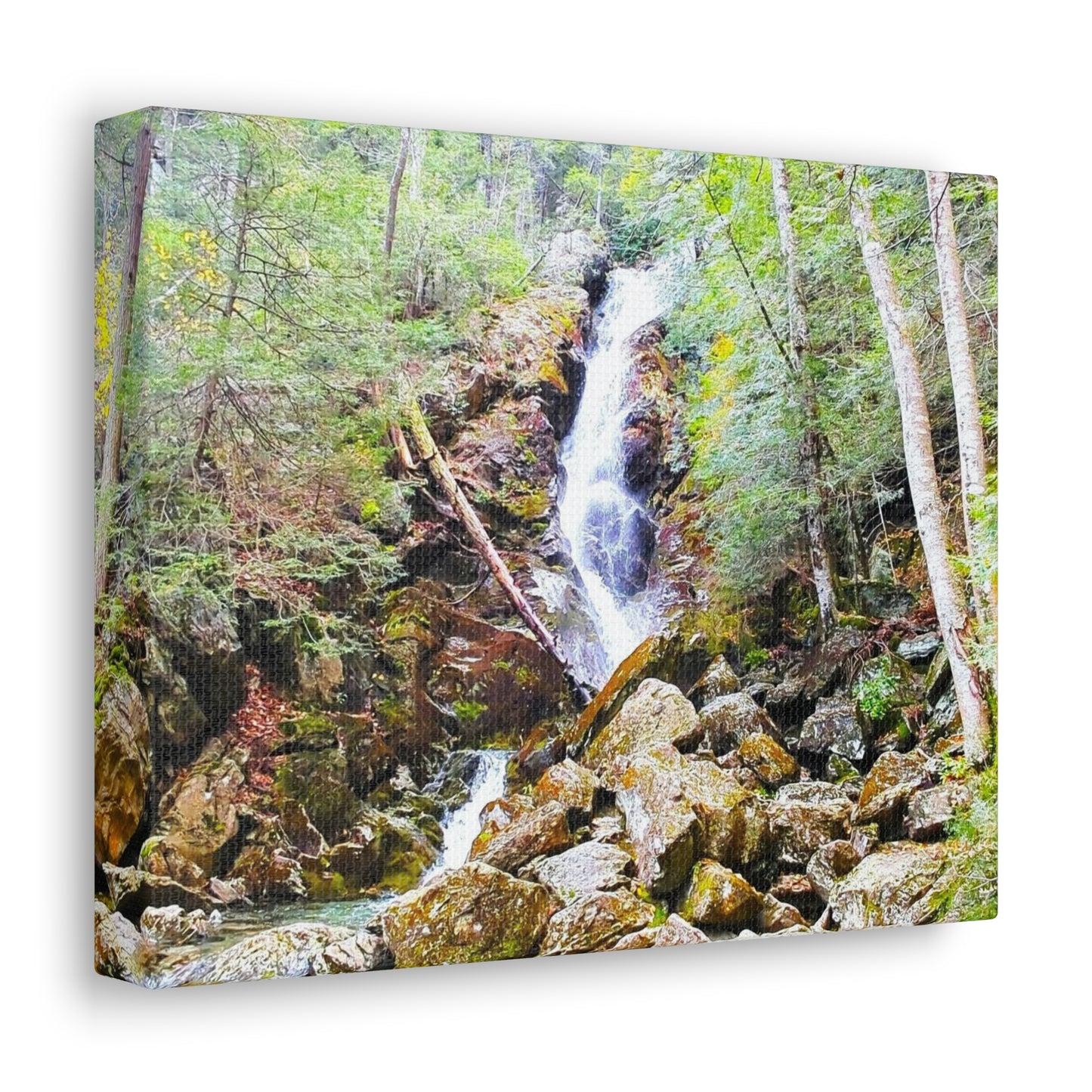 Race Brook Falls Canvas Art Print
