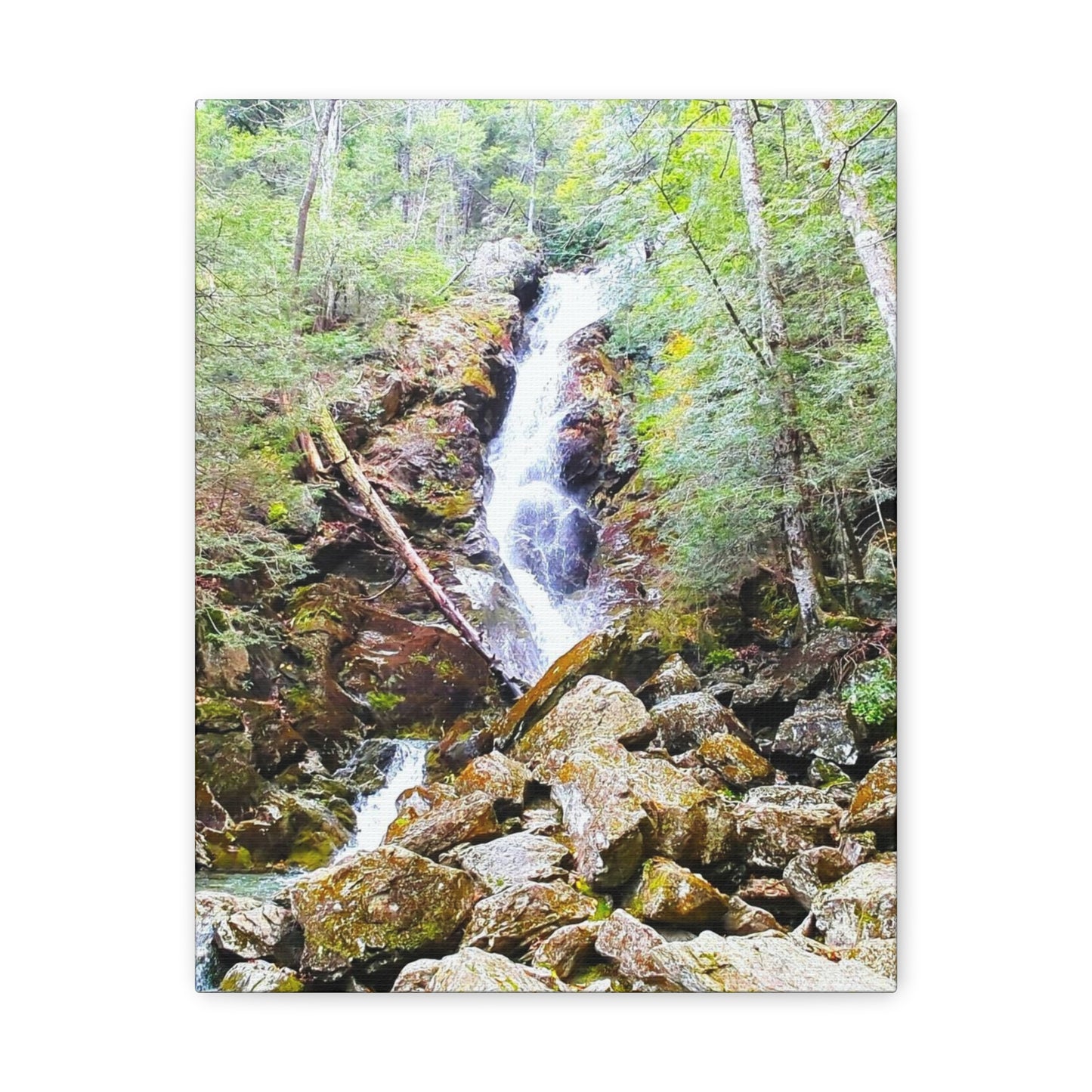 Race Brook Falls Canvas Art Print