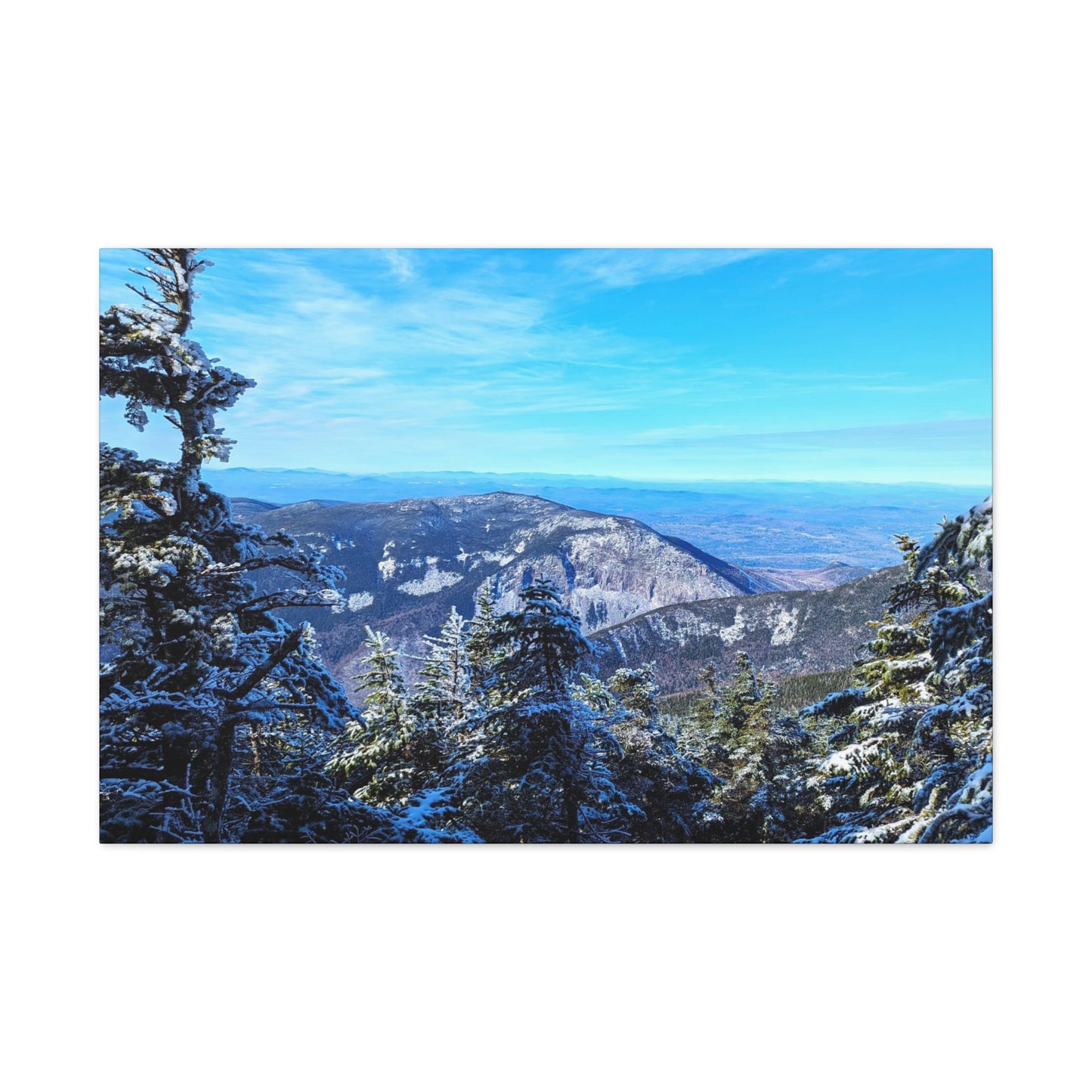 Alpine Zone- Canvas Art Print