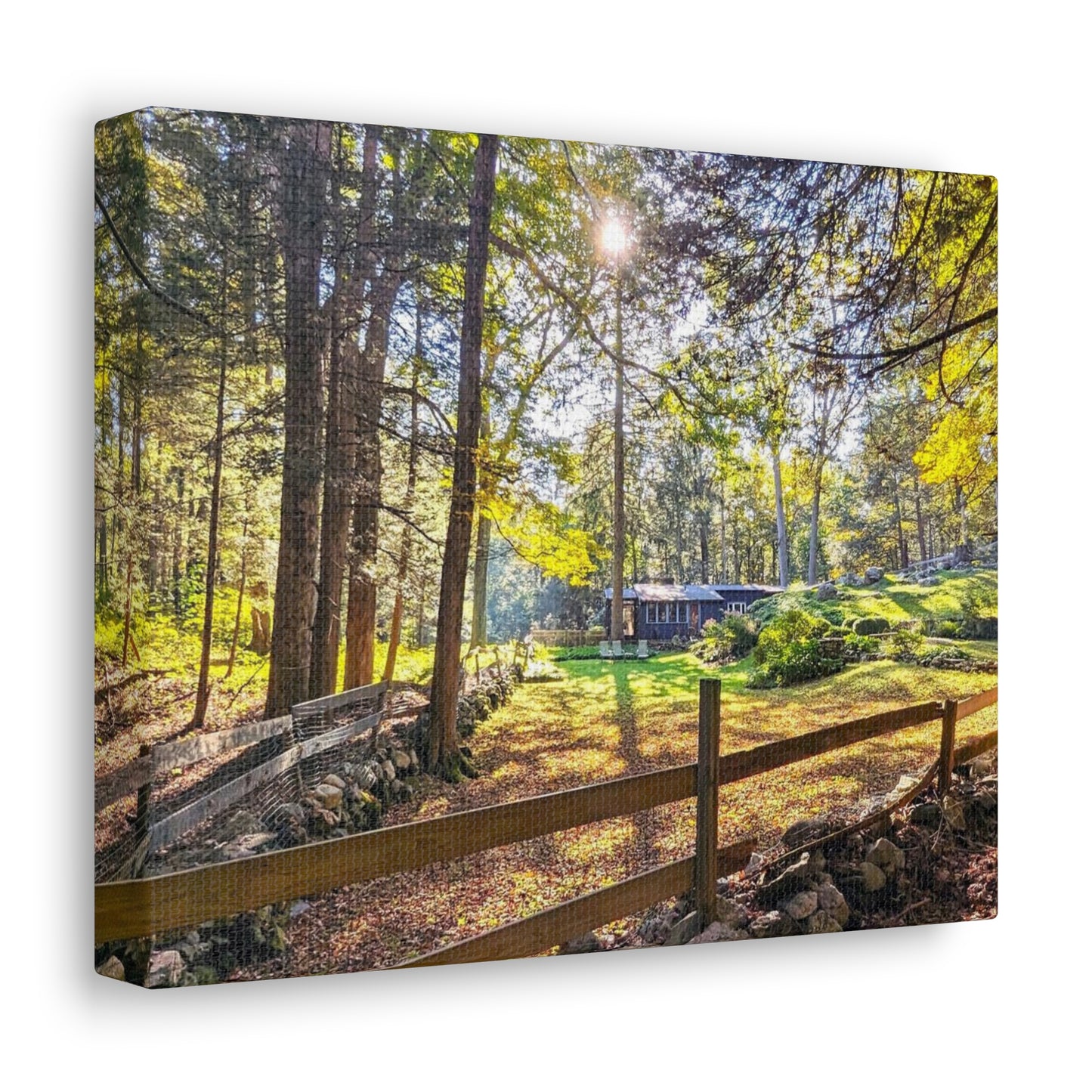 Canvas Artwork Print, Nature Photography