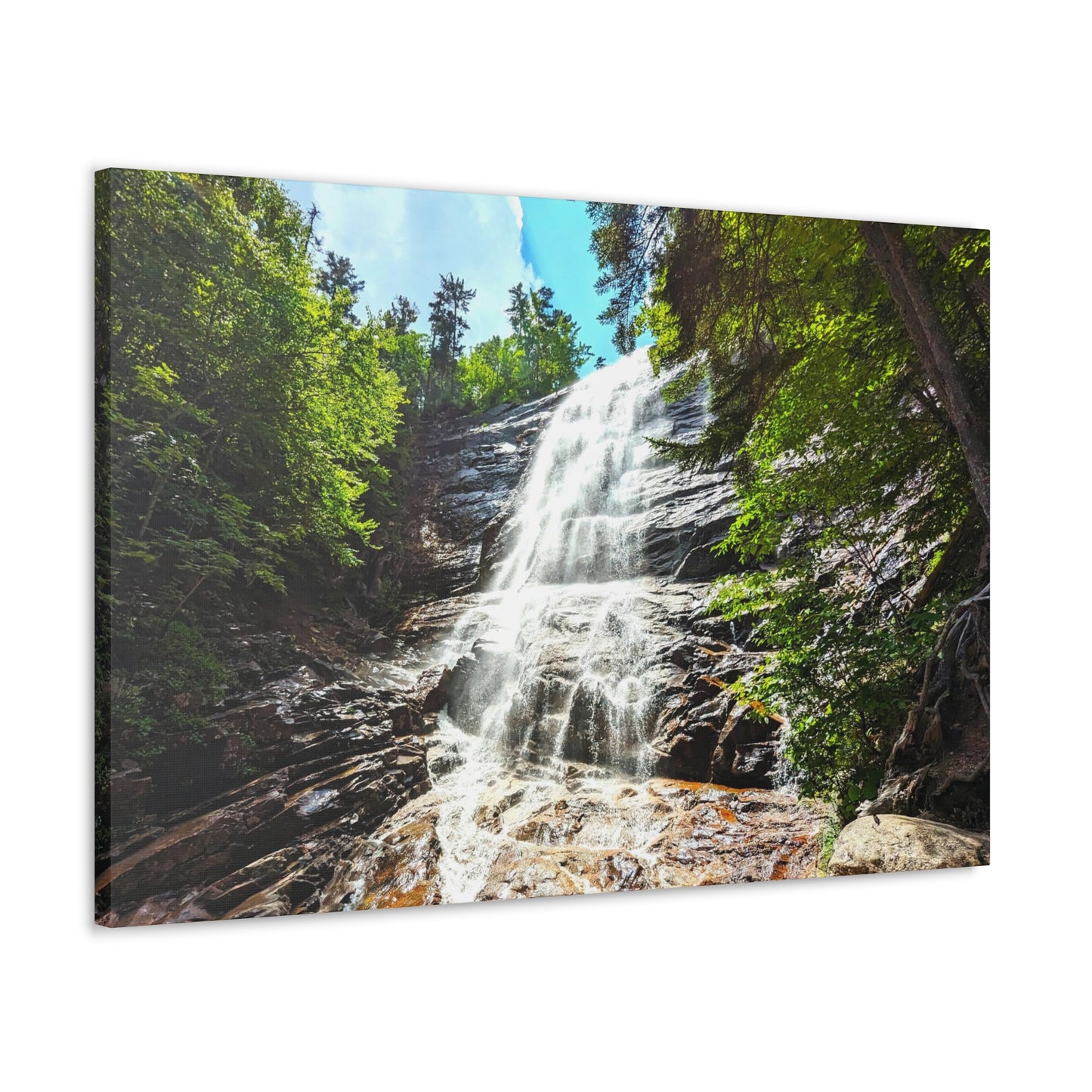 Arethusa Falls Canvas Art Print