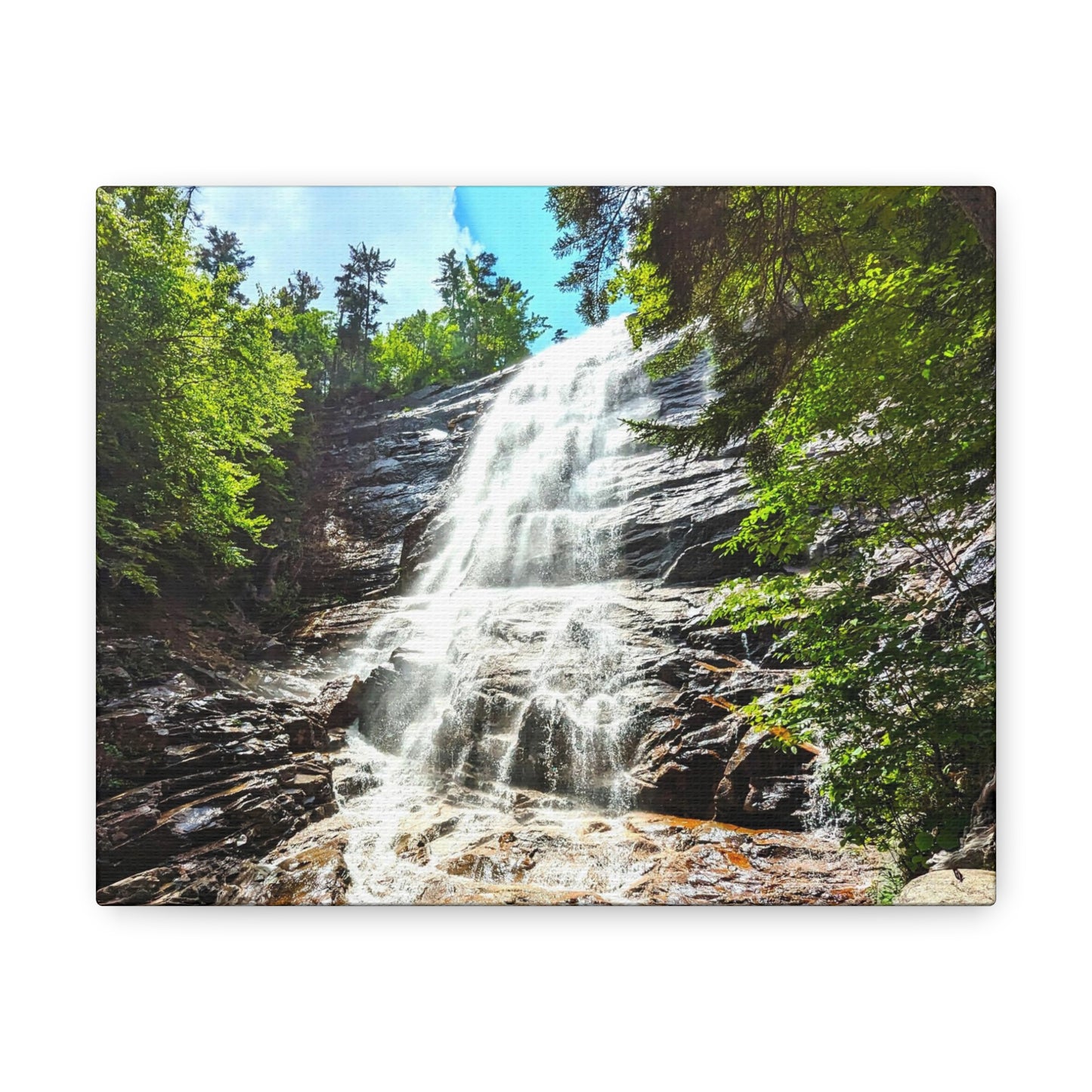 Arethusa Falls Canvas Art Print