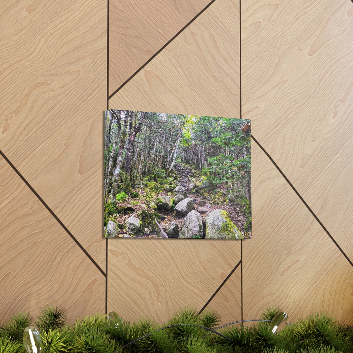 Kinsman Ridge Trail Canvas Art Print