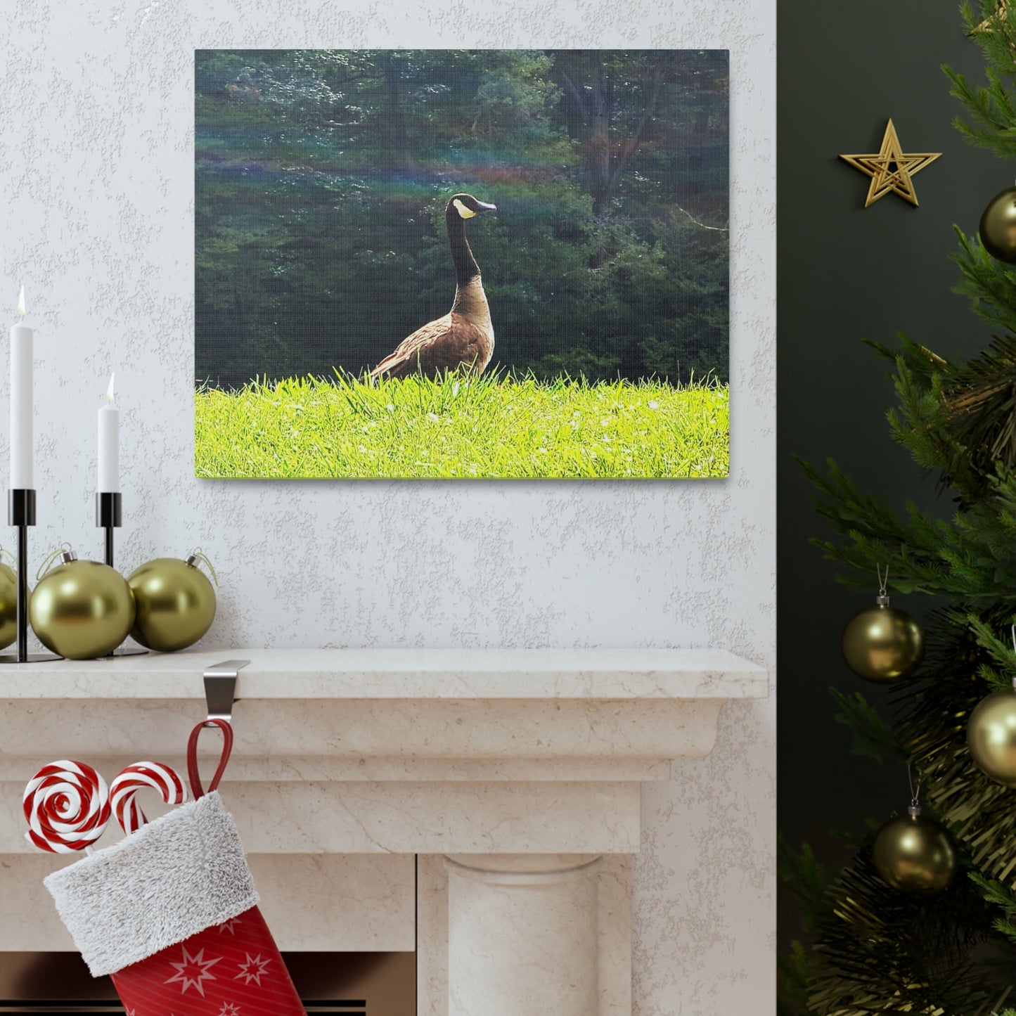 Canadian Goose Canvas Art Print