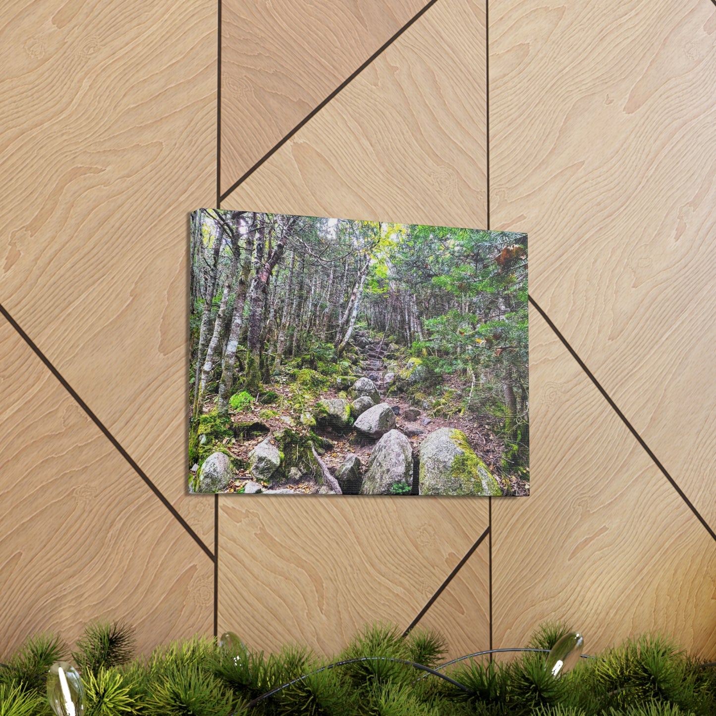 Kinsman Ridge Trail Canvas Art Print