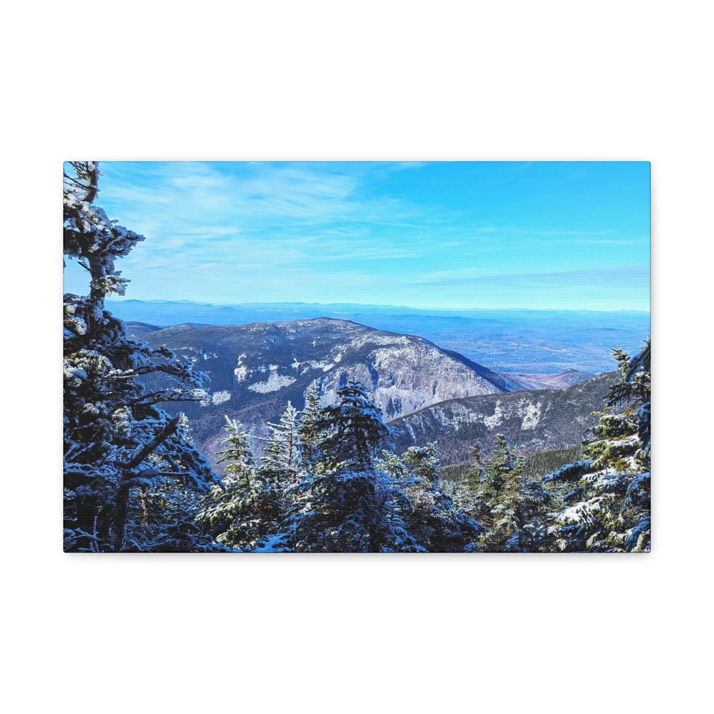 Alpine Zone- Canvas Art Print