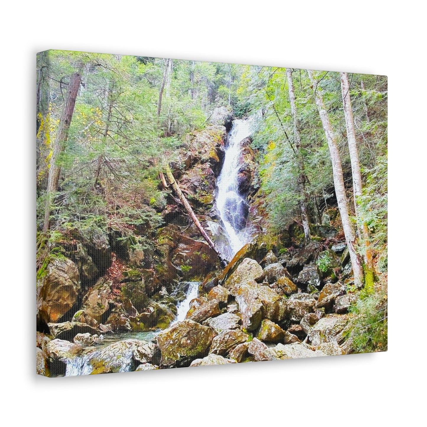 Race Brook Falls Canvas Art Print