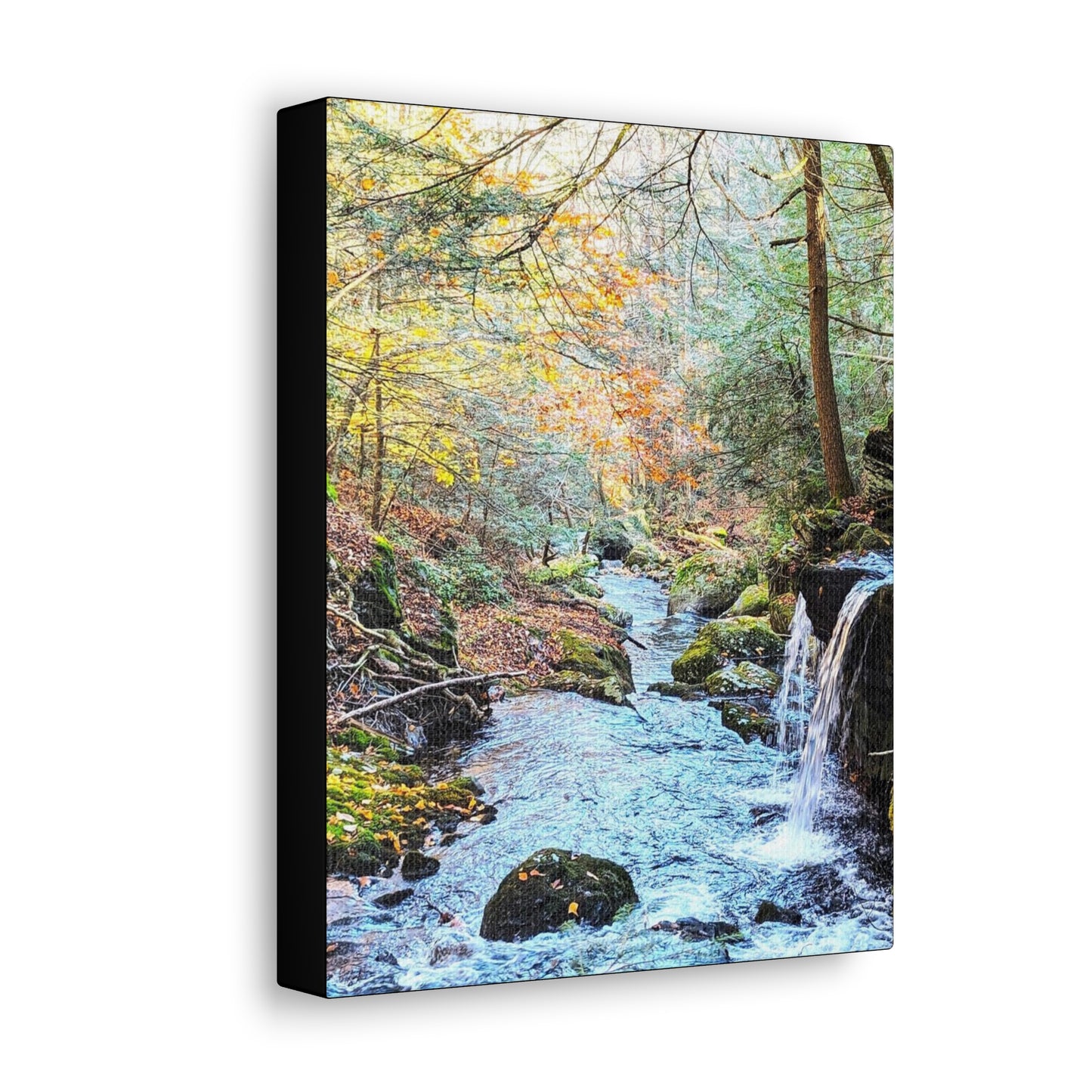 Sage's Ravine Canvas Art Print