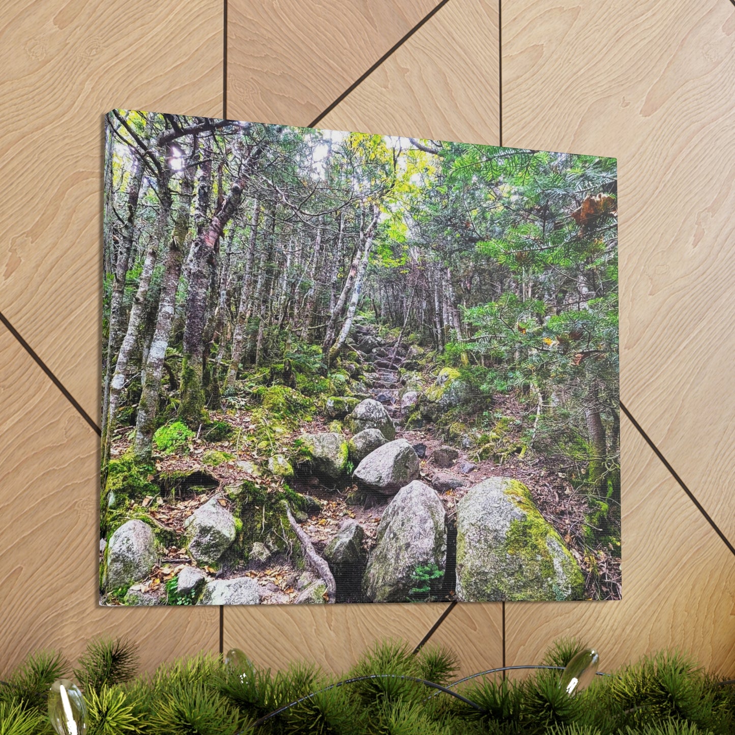 Kinsman Ridge Trail Canvas Art Print