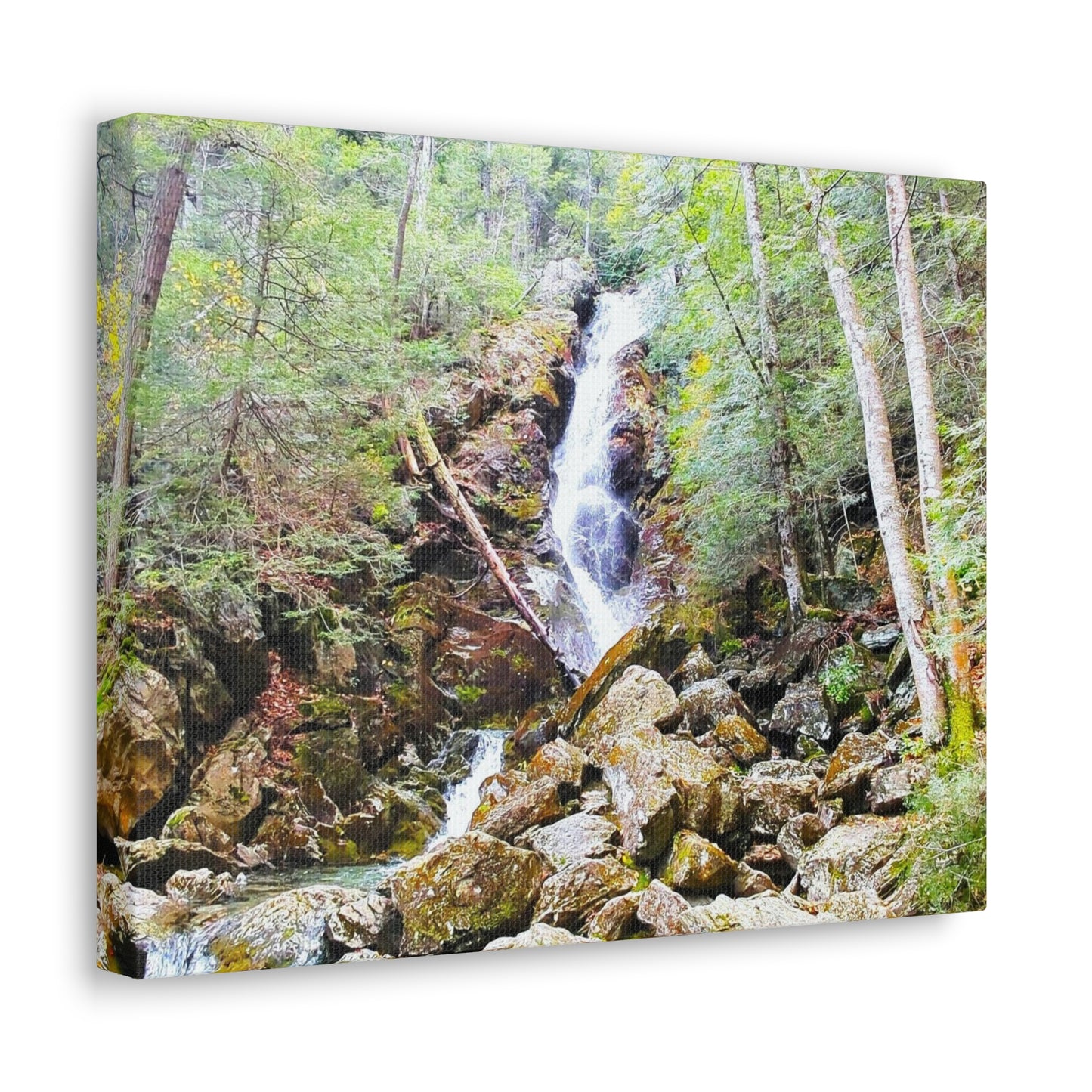 Canvas Artwork Print, Nature Photography