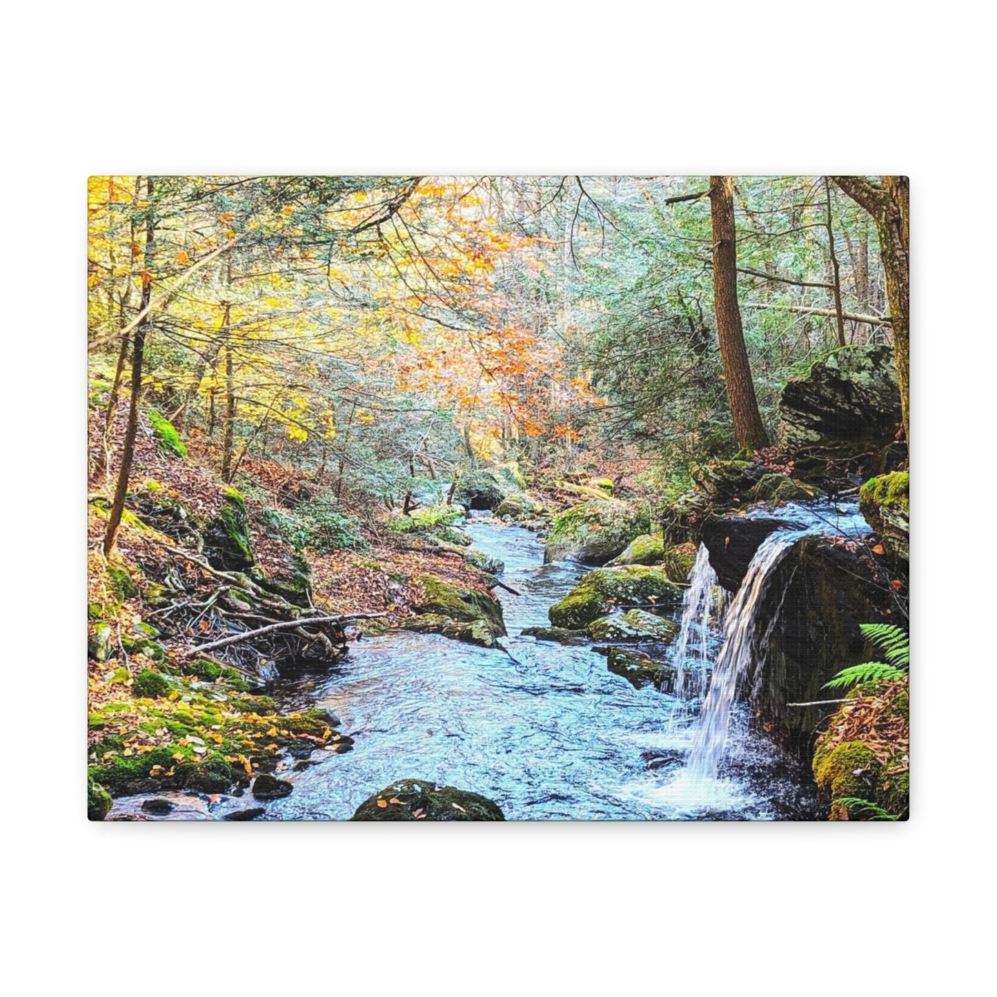Sage's Ravine Canvas Art Print