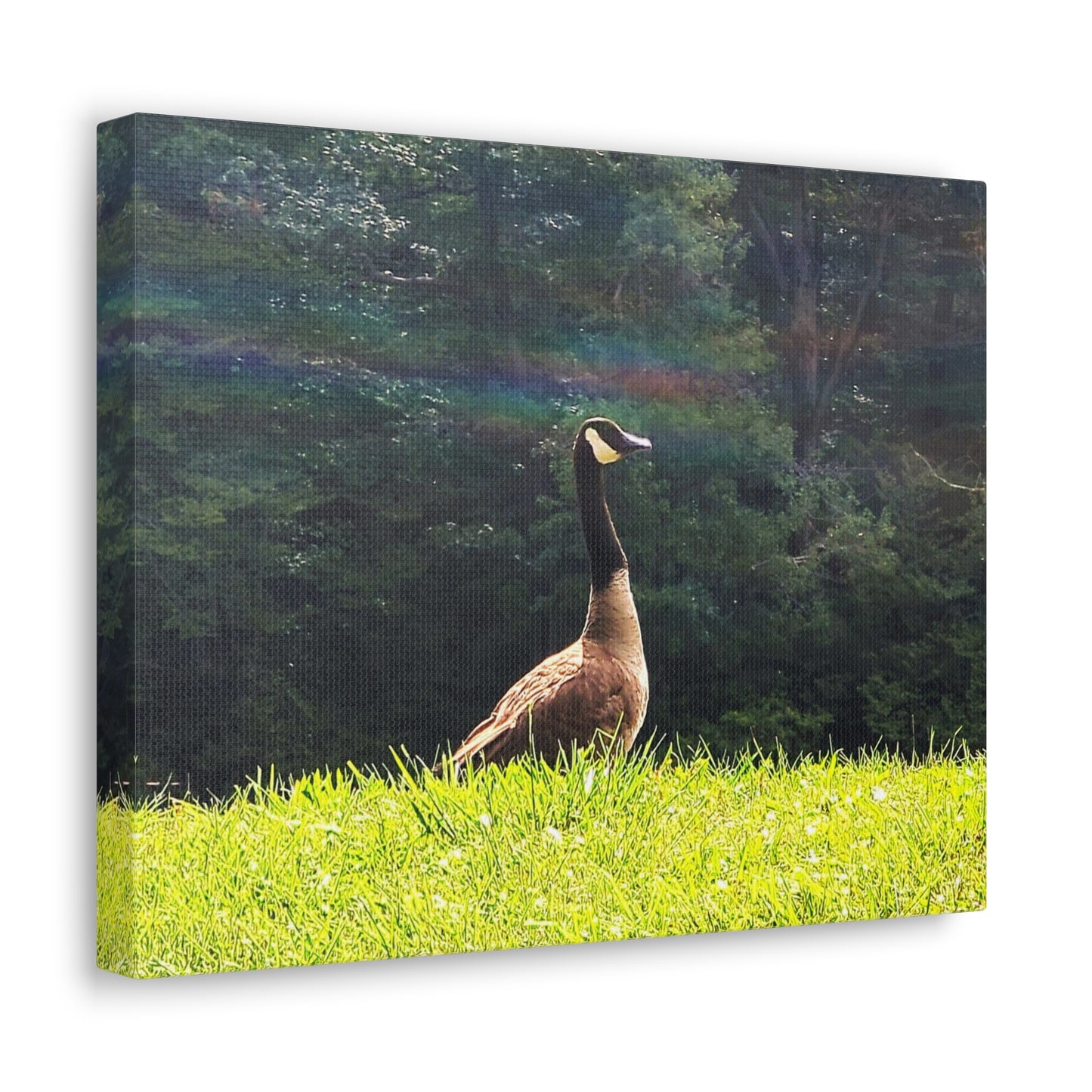 Canvas Artwork Print, Nature Photography