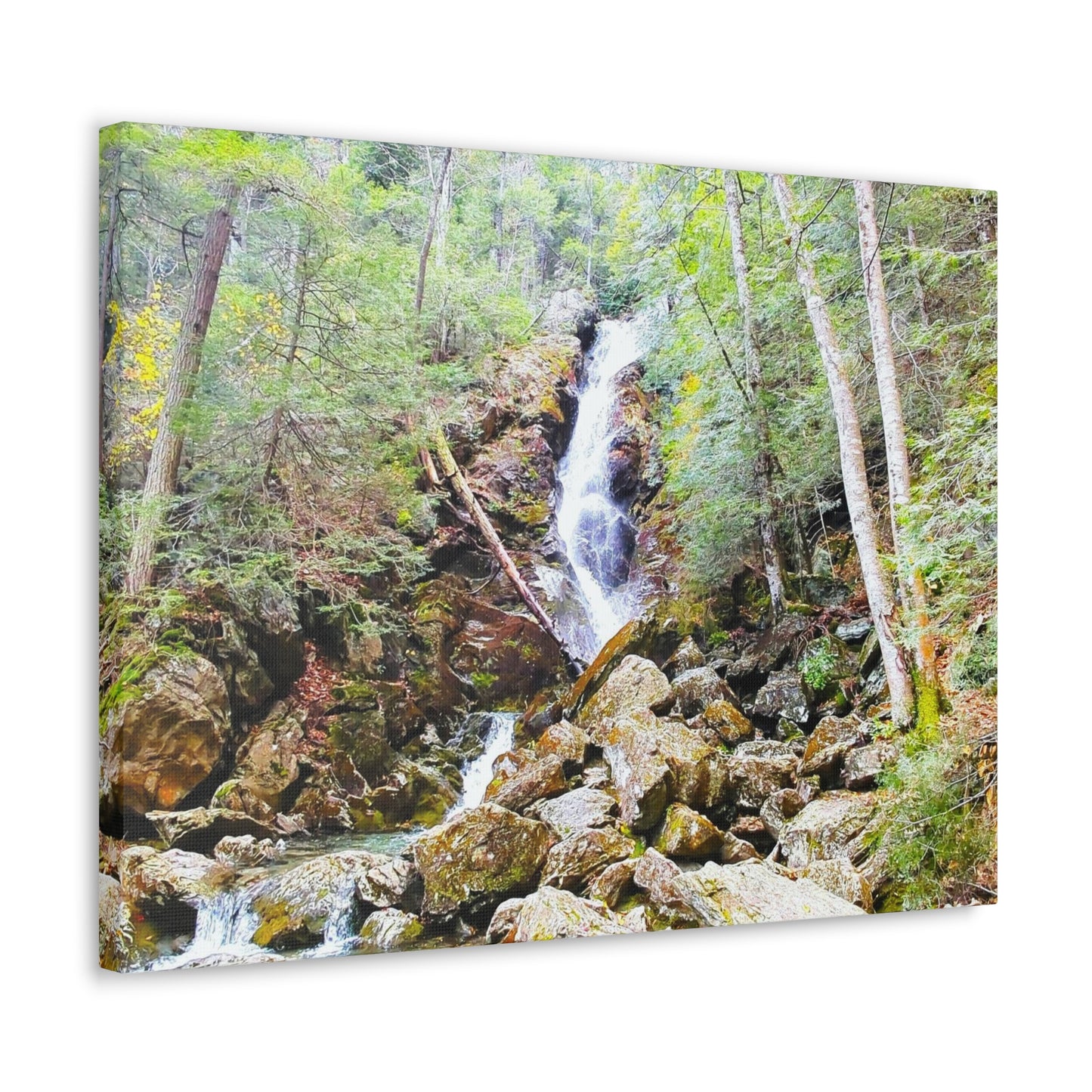 Race Brook Falls Canvas Art Print