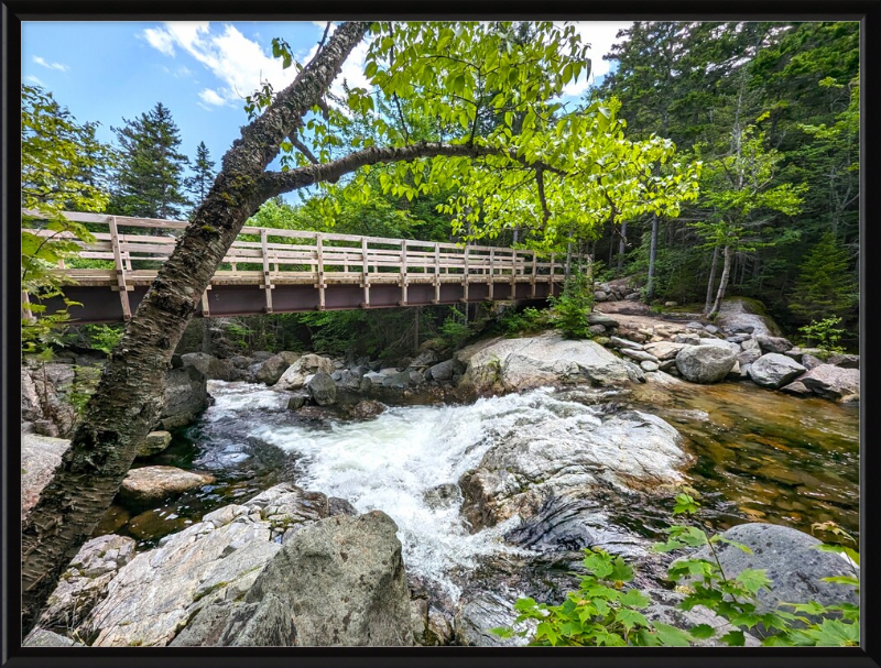 Cutler River Framed Artwork