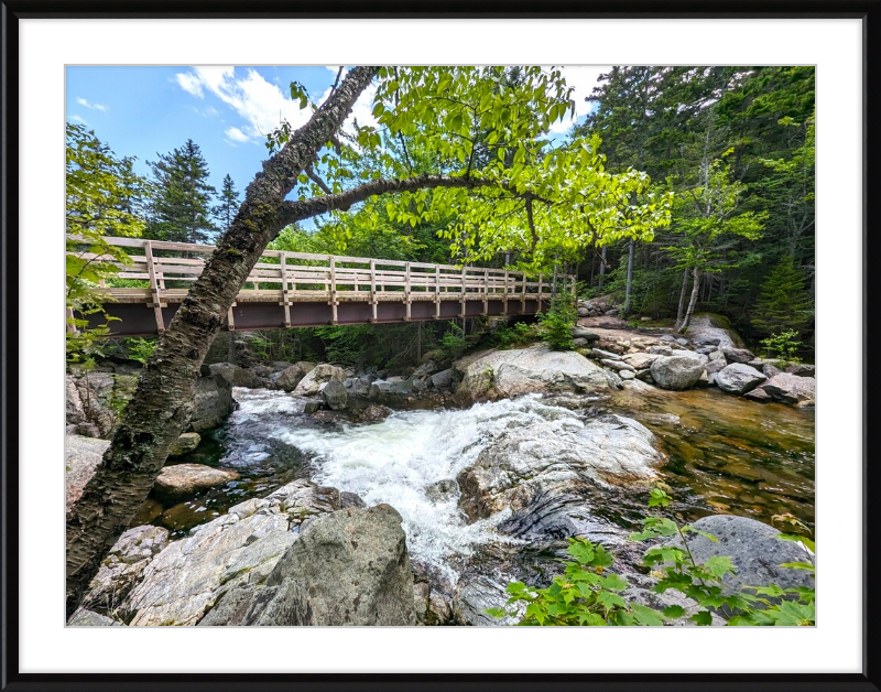 Cutler River Framed Artwork