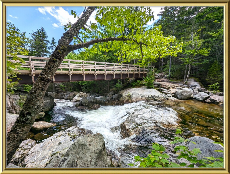 Cutler River Framed Artwork