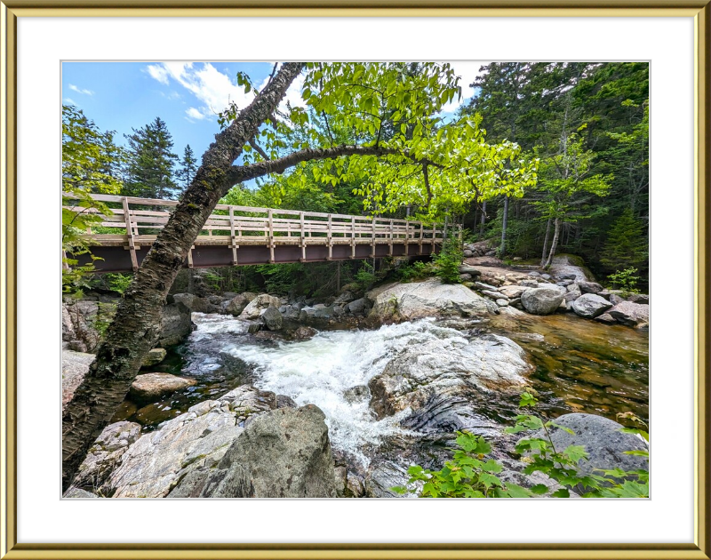 Cutler River Framed Artwork