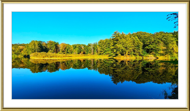 Saugatuck River Framed Artwork