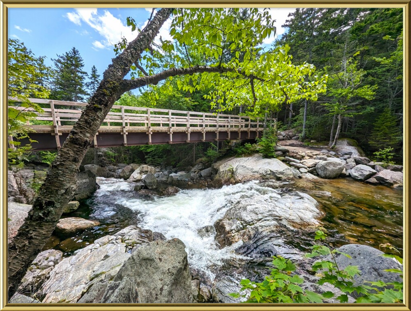 Cutler River Framed Artwork